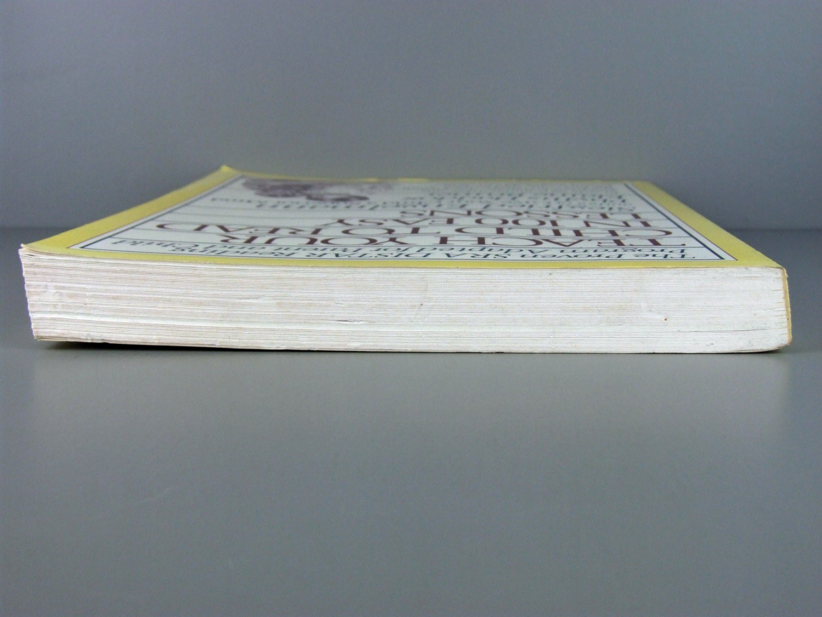 Teach Your Child to Read in 100 Easy Lessons by Siegfried Engelman Haddox Bruner