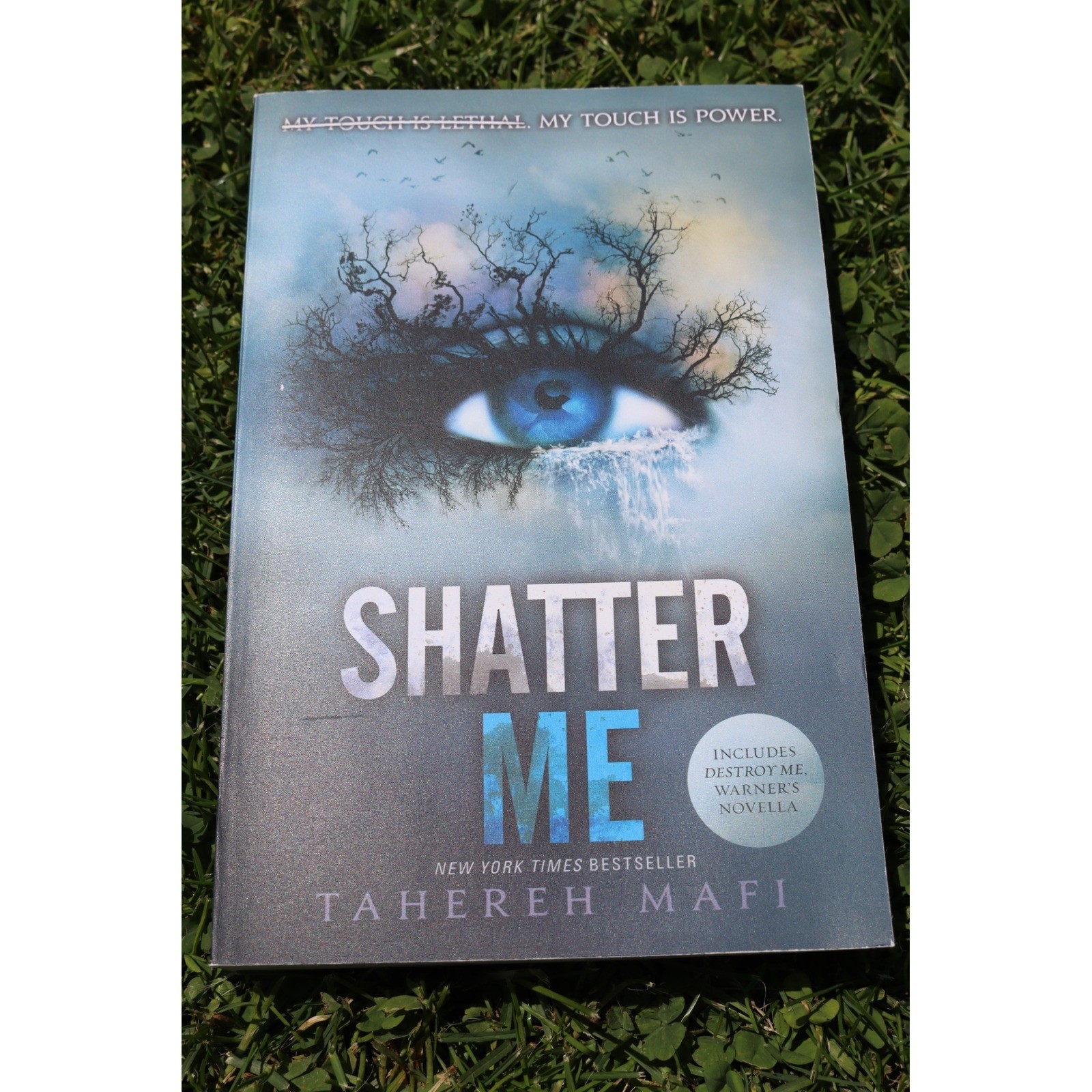 YA Fantasy Book Lot Shatter Me Kingdom of the Wicked Ash Princess Paperbacks