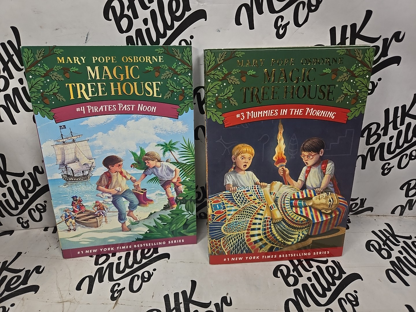 Magic Tree House & Ivy & Bean Chapter Book Lot of 22 Early Reader Books Ages 6-9