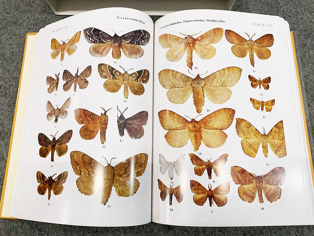 Revised Illustrated Insect Encyclopedia Vol. I Butterflies and Moths Yata Osamu