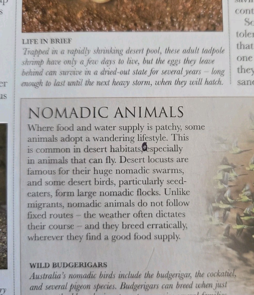 Smithsonian Institution Animal:The Definitive Visual Guide to the World’s….