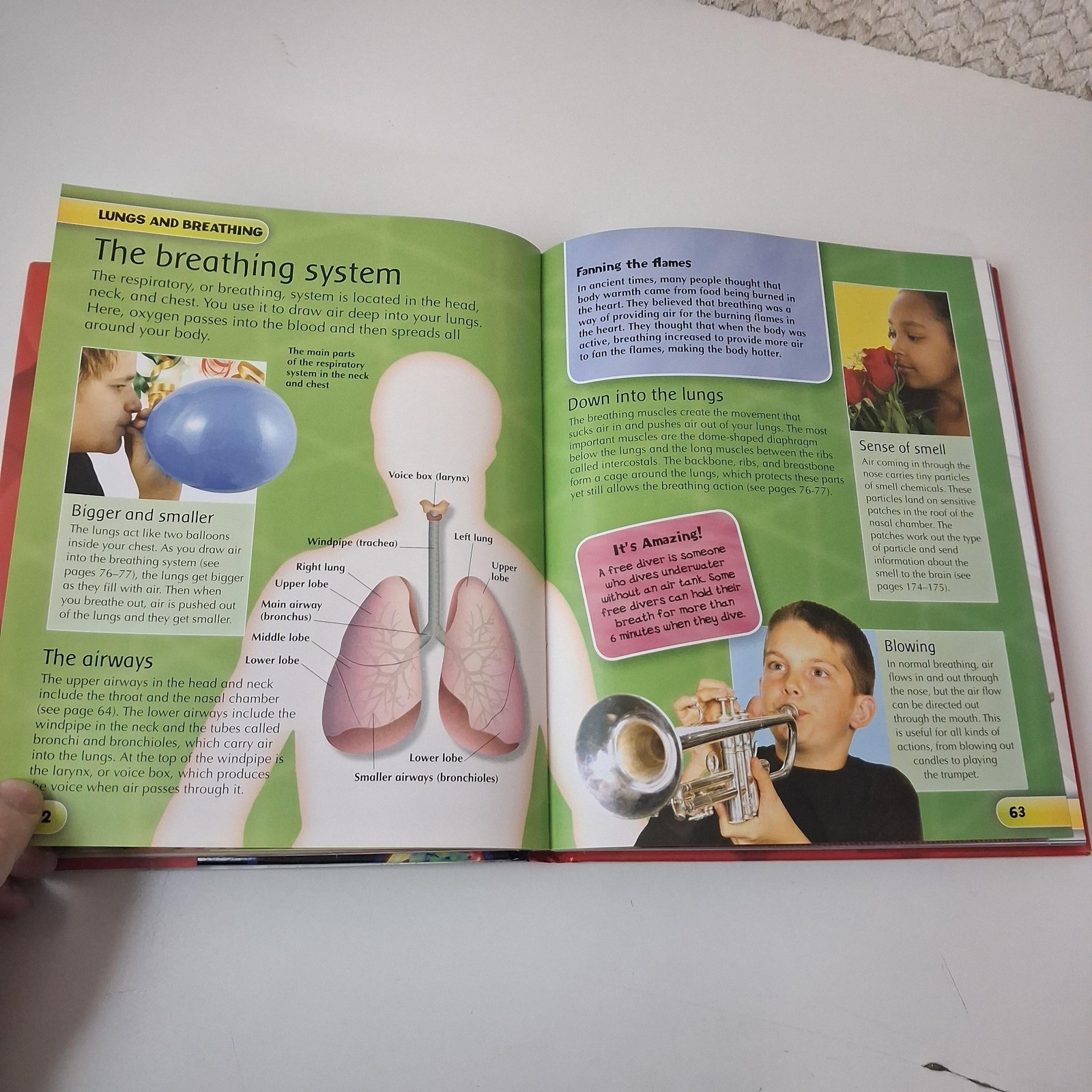 Children’s Human Body Encyclopedia Steve Parker Kids Science Book Hardcover