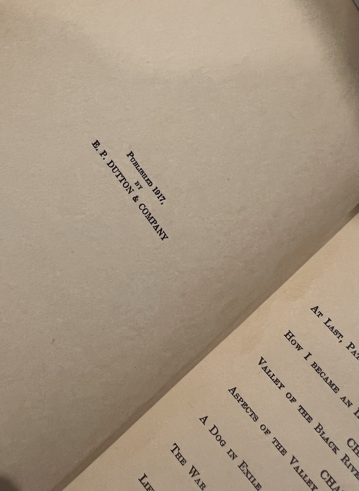 Idle Days in Patagonia W.H. Hudson 1917 hardcover book