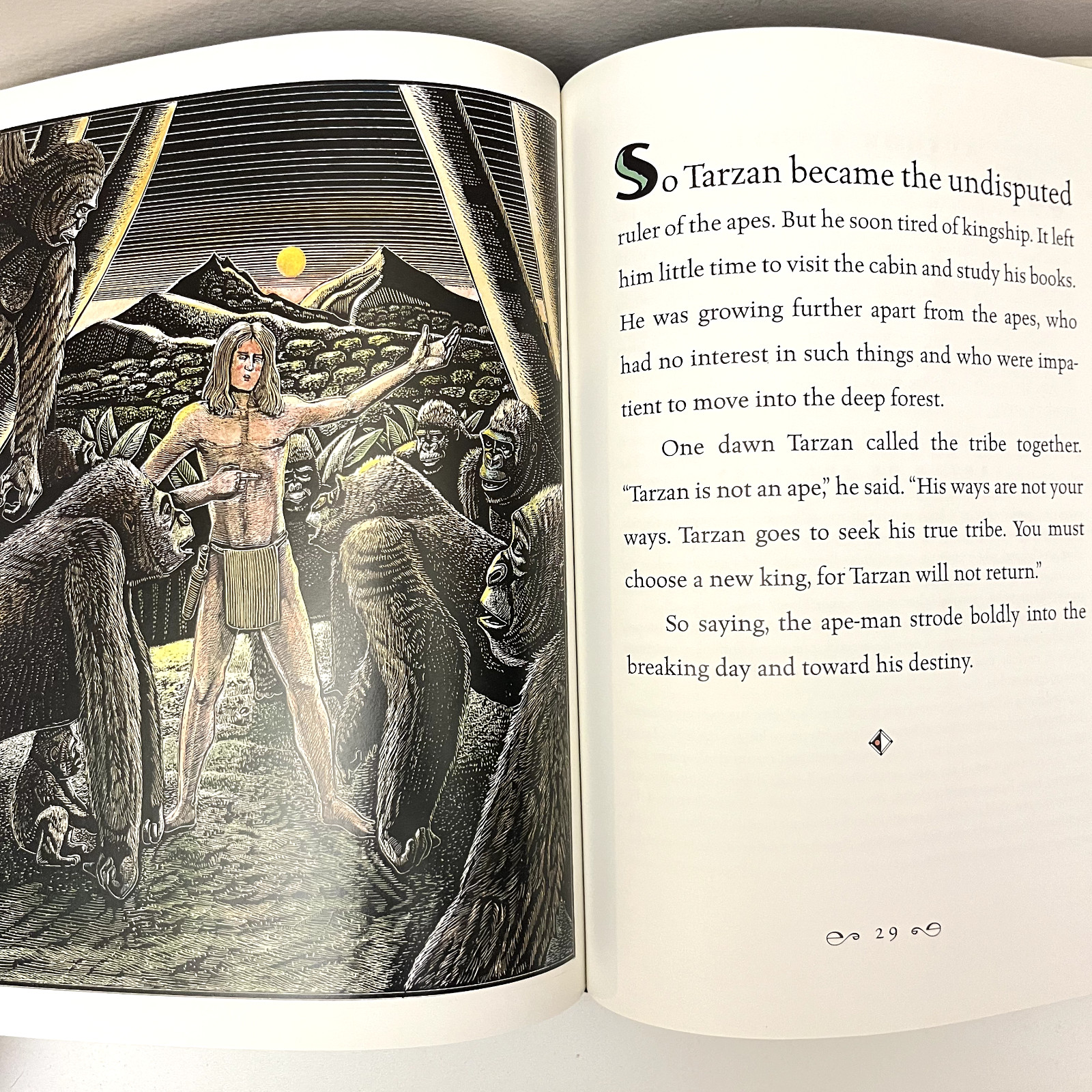 Tarzan by Robert D. San Souci 1999 Hardcover DJ Illustrated by Michael McCurdy