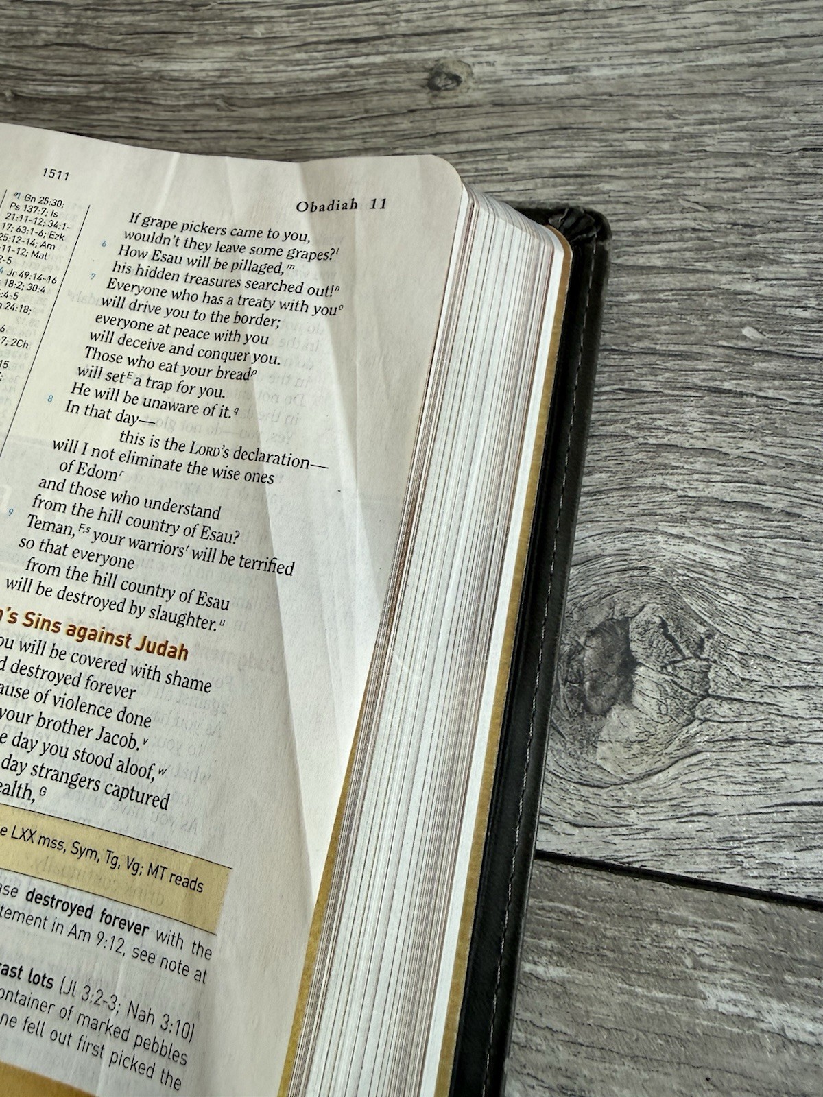 HCSB Holman Christian Standard Study Bible Indexed Gray Simulated Leather 2010