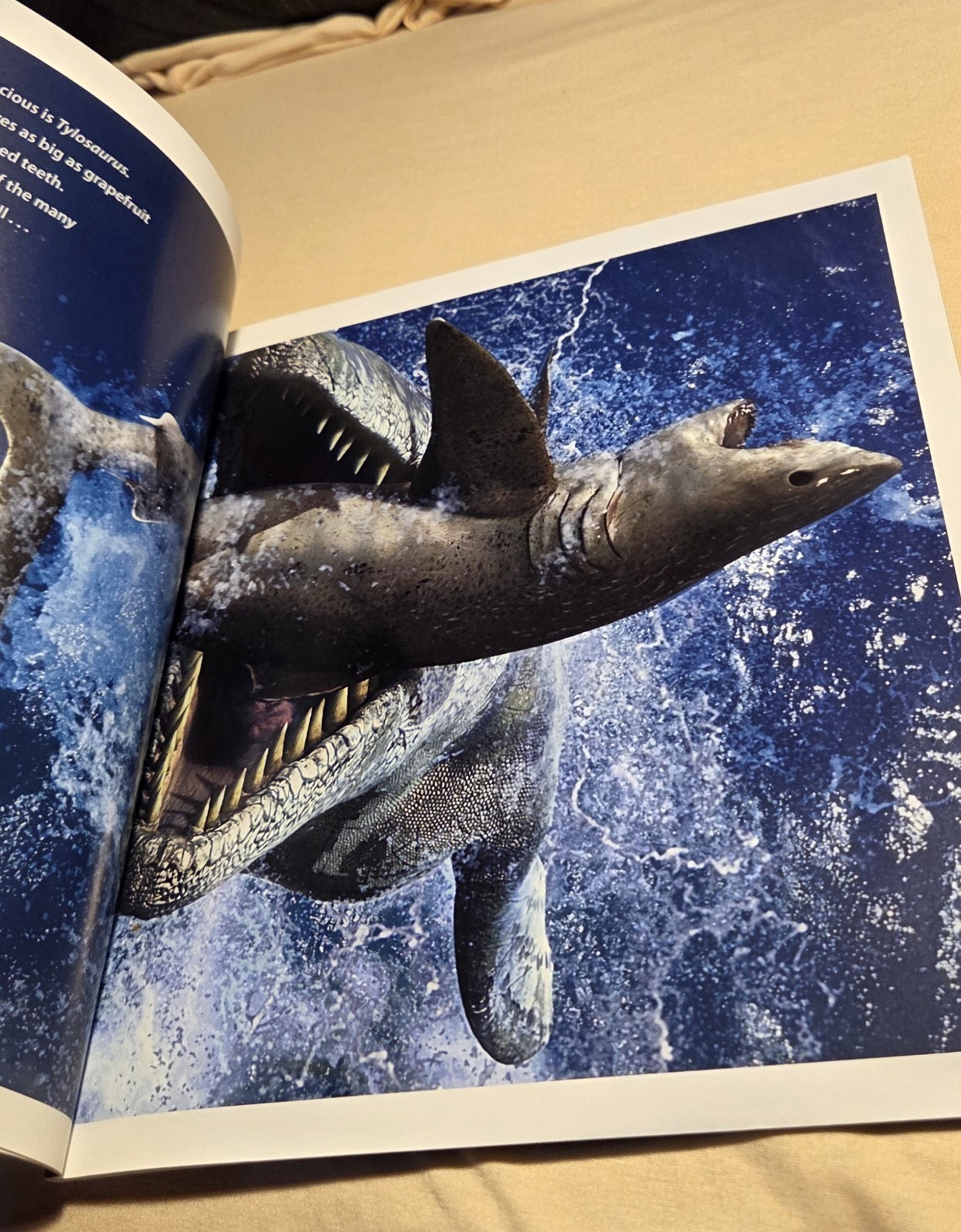 Sea Monsters Prehistoric Adventure