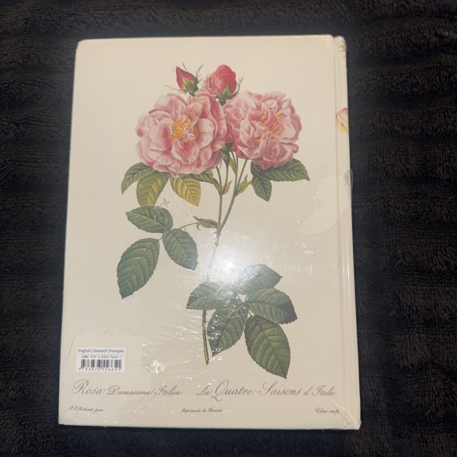 Redouté. the Book of Flowers. 45th Ed by H. Walter Lack (2020, Hardcover)