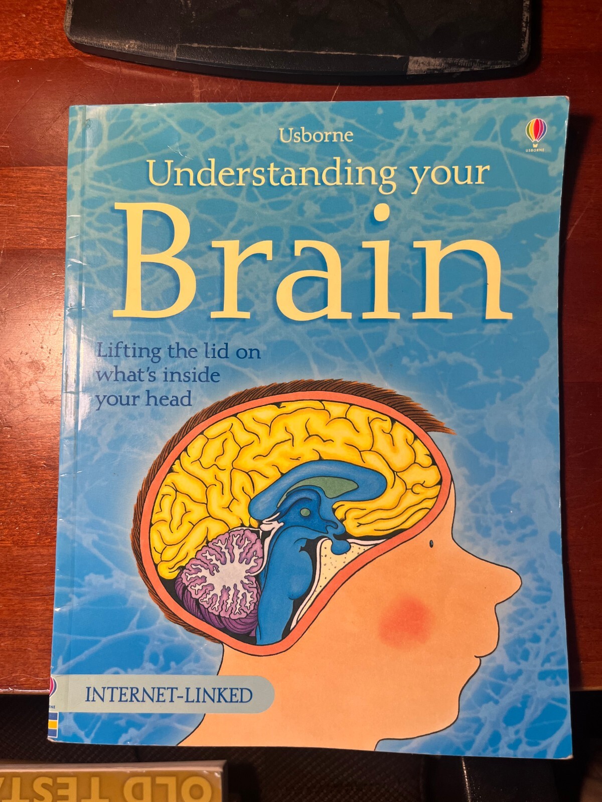 Understanding Your Brain – Internet Linked by Rebecca Treays (2004, Trade…