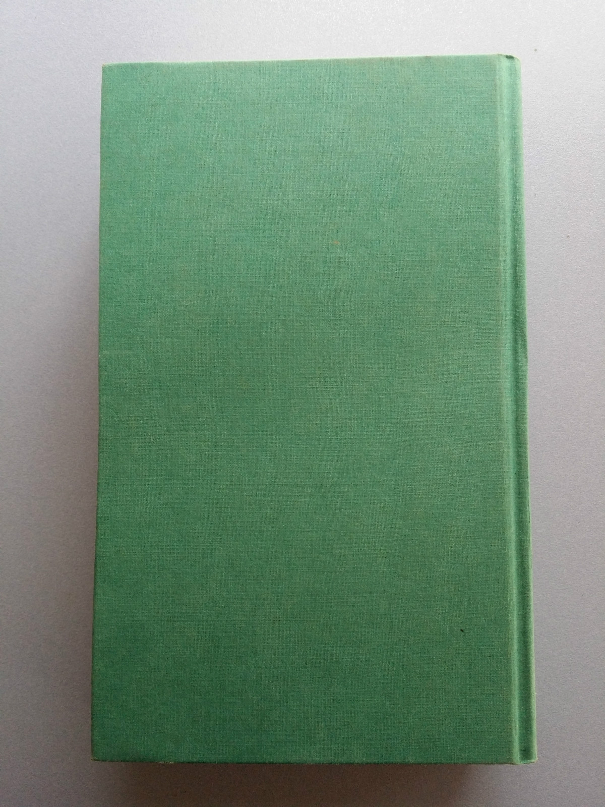Gypsy Prince Novel Jennifer Blake Wilhelm Goldmann Verlag 1992 415 Pages