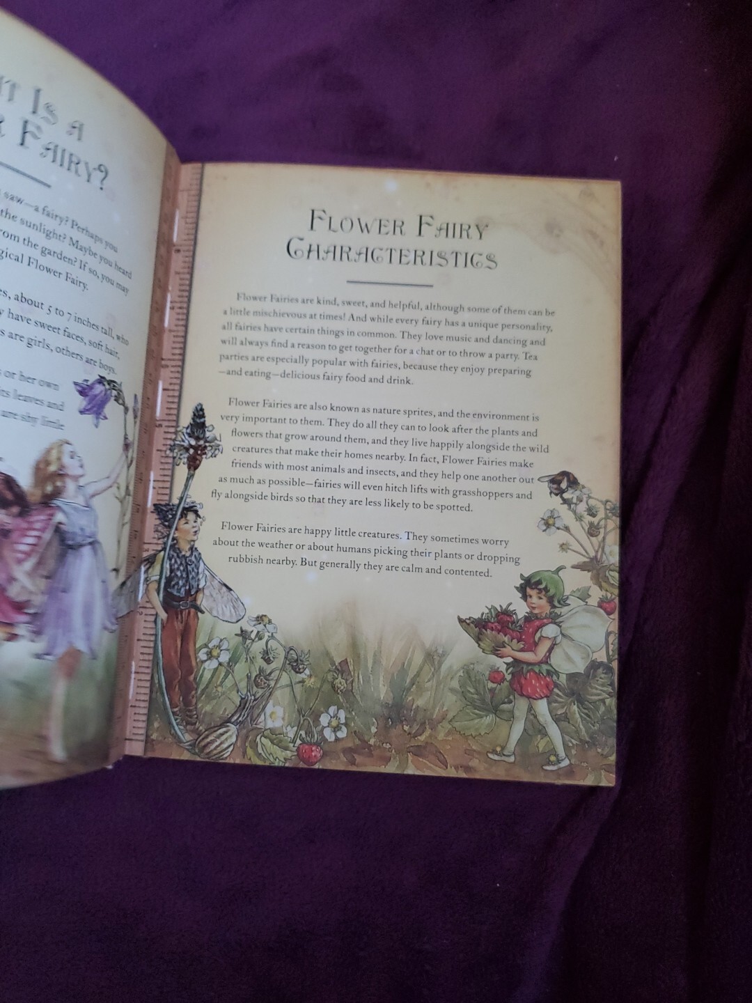 The Girls’ Book of Flower Fairies (HC, 2008) Frederick Warne (Crafts & Stories)