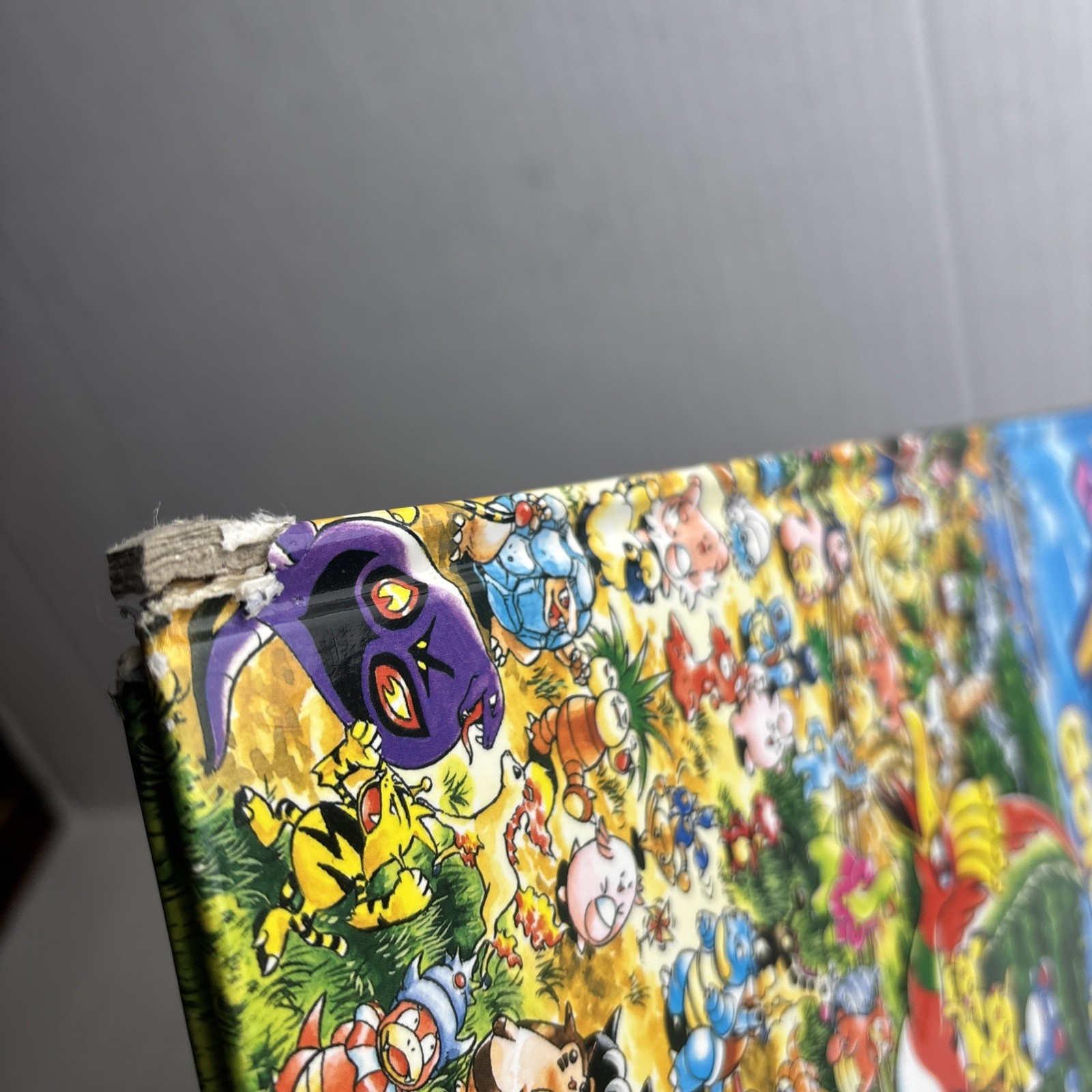 LET’S FIND POKÉMON! GOLD & SILVER Art By Kazuhiro Aihara Hardback Colorful