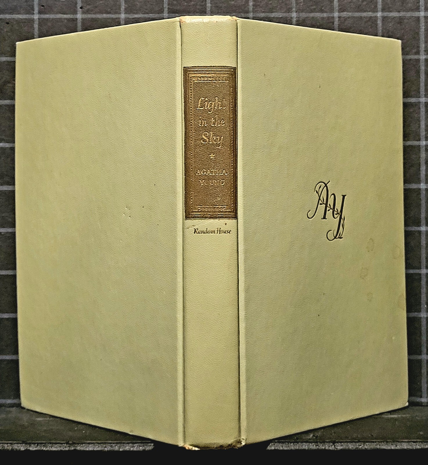 LIGHT IN THE SKY by Agatha Young 1948 Hardcover 1360
