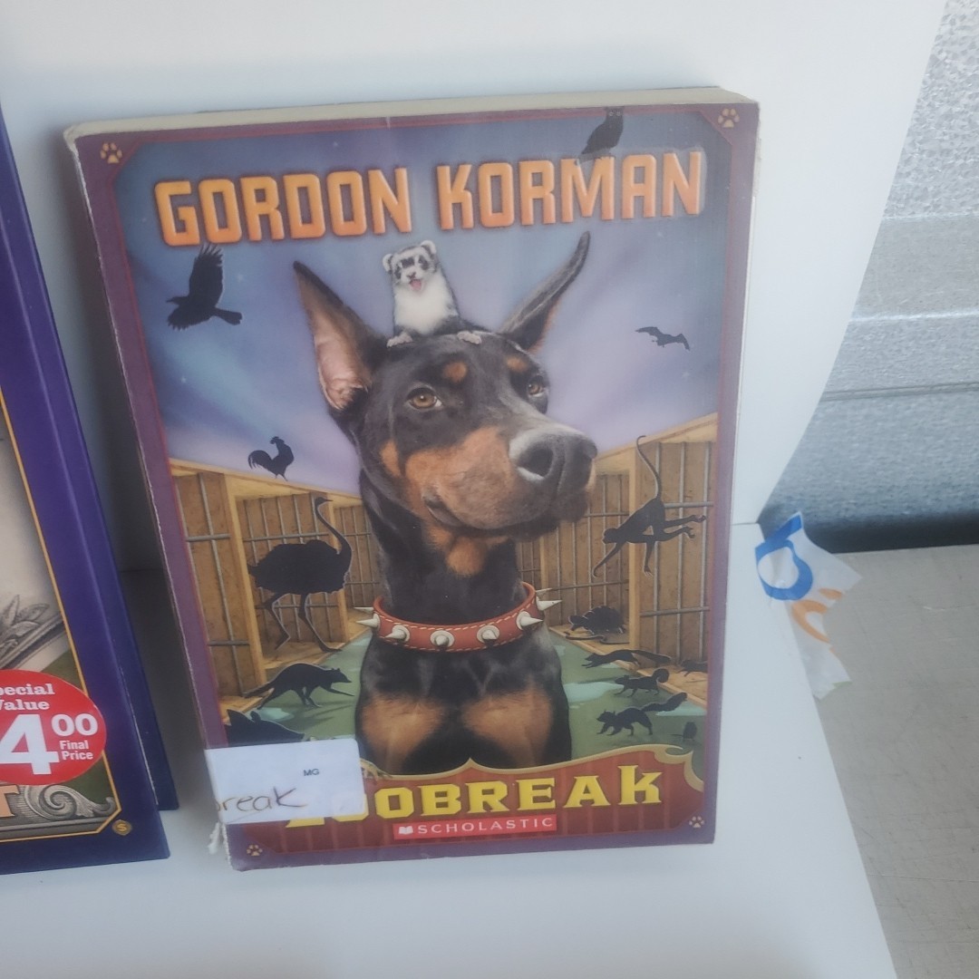 Lot of 14 Books 4 are GORDON KORMAN’s Children Books Series Reading level 6-7