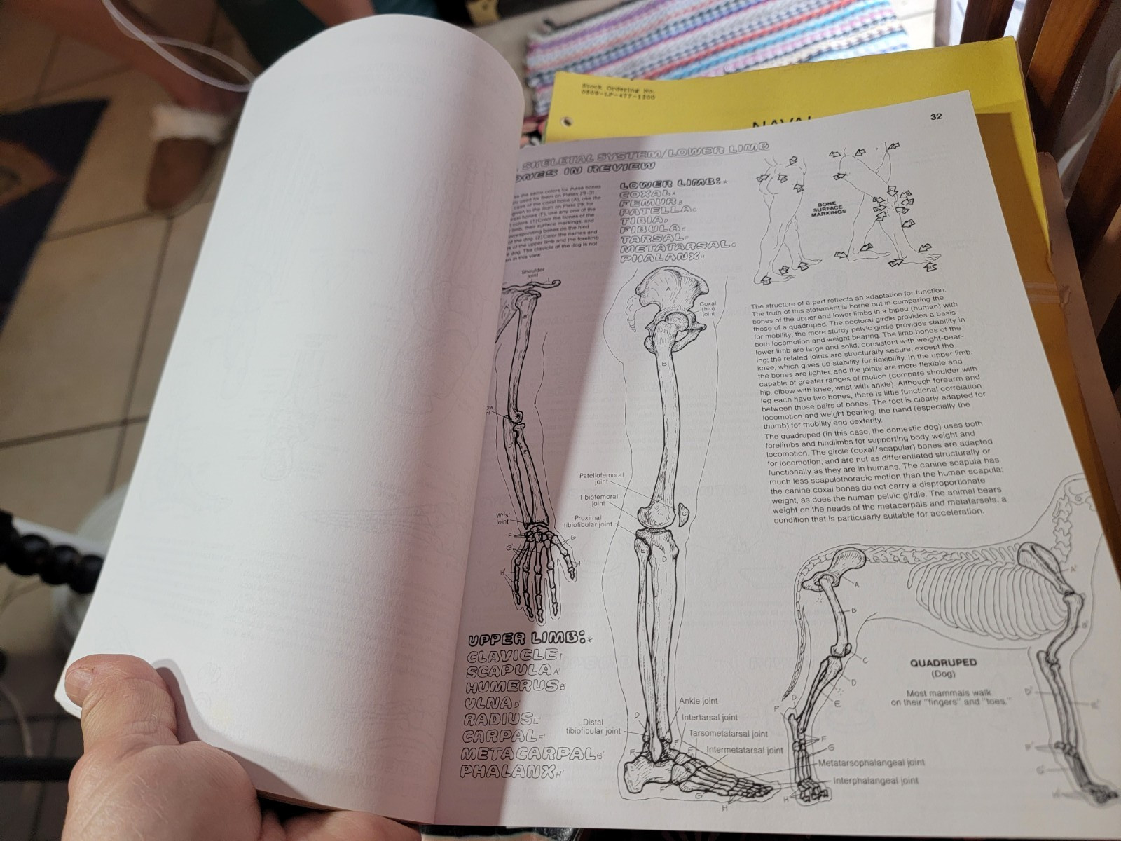 THE ANATOMY COLORING BOOK Kapit Medical Medicine Nurse Nursing Reference