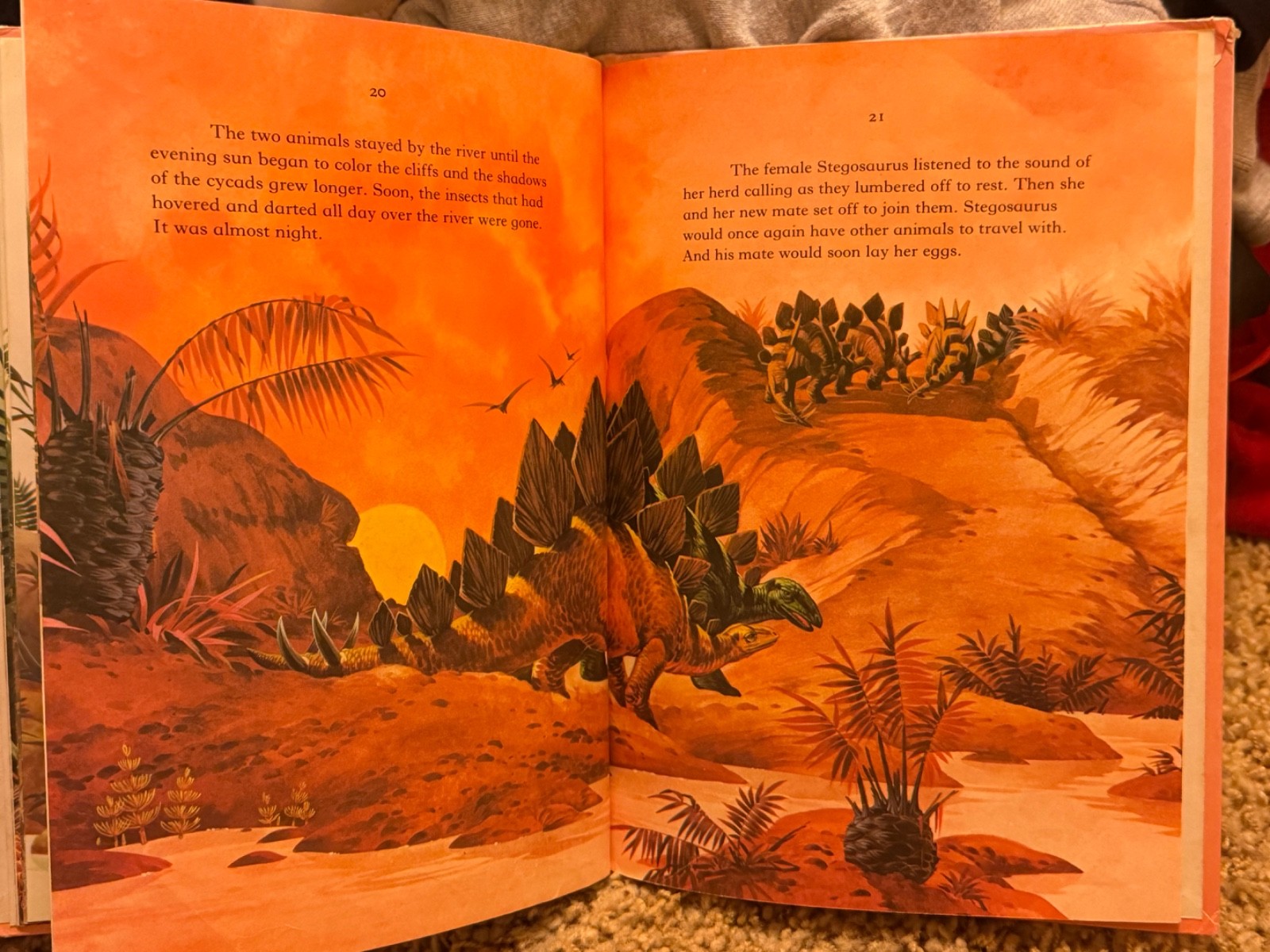 Dinosaur Library Series Lot of 25Vintage 1980s Hardcover Books Rourke VGC READ