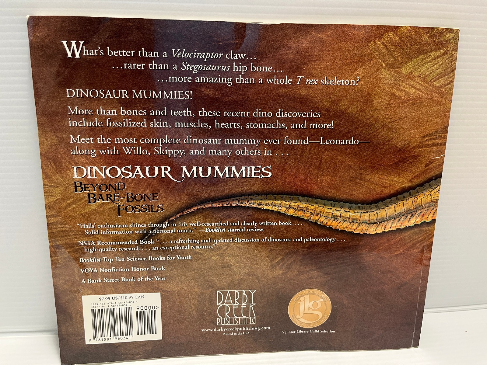 3 Dinosaurs Curriculum 3 Kids Student Information Home school Classroom Lot of 6