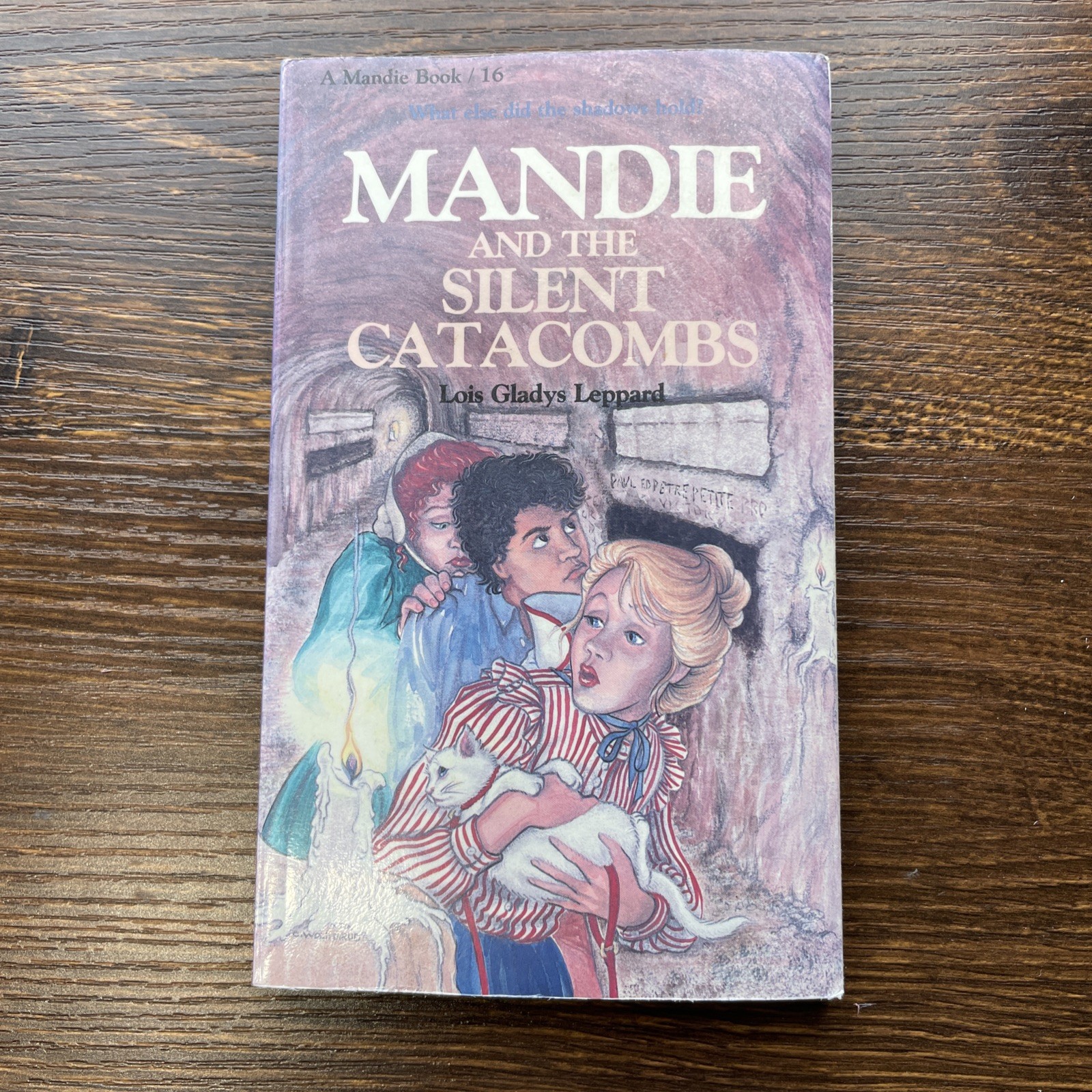 Mandie Mystery Book Lot of 4 PB Lois Gladys Leppard See Photos Varied Condition