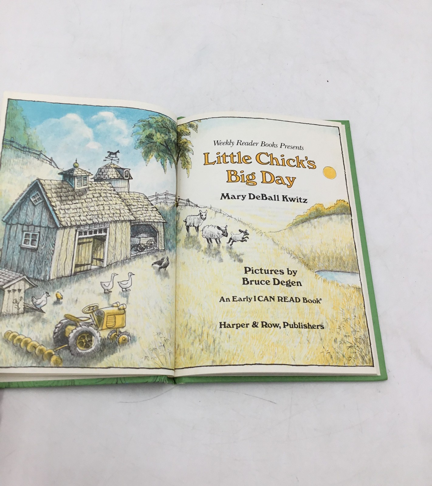 Little Chick’s Big Day Mary DeBall Kwitz Bruce Degen 1981 First Edition Book