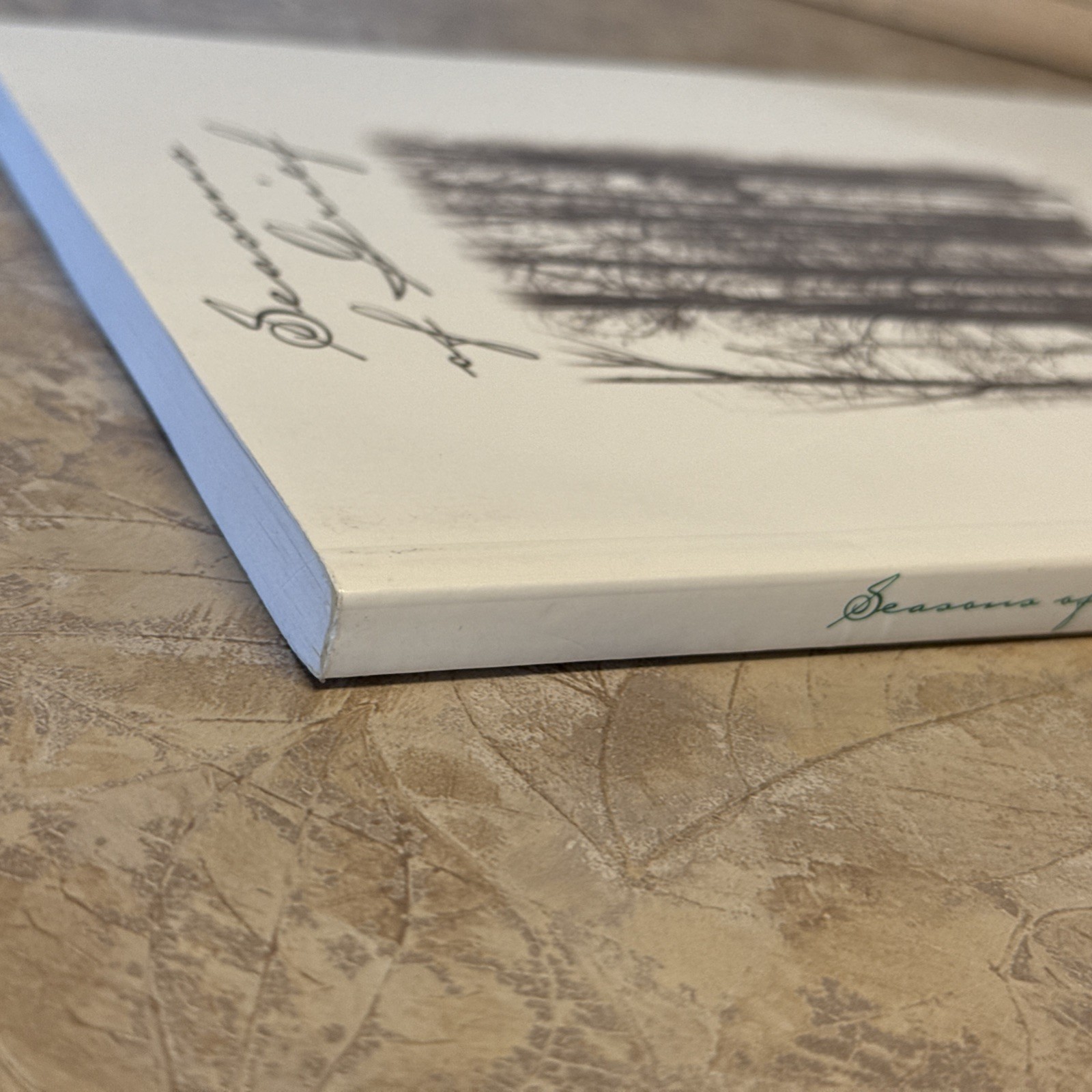 Seasons of Grief Rita D. Carrier 1999 Rare Self-Published Paperback 135 Pages