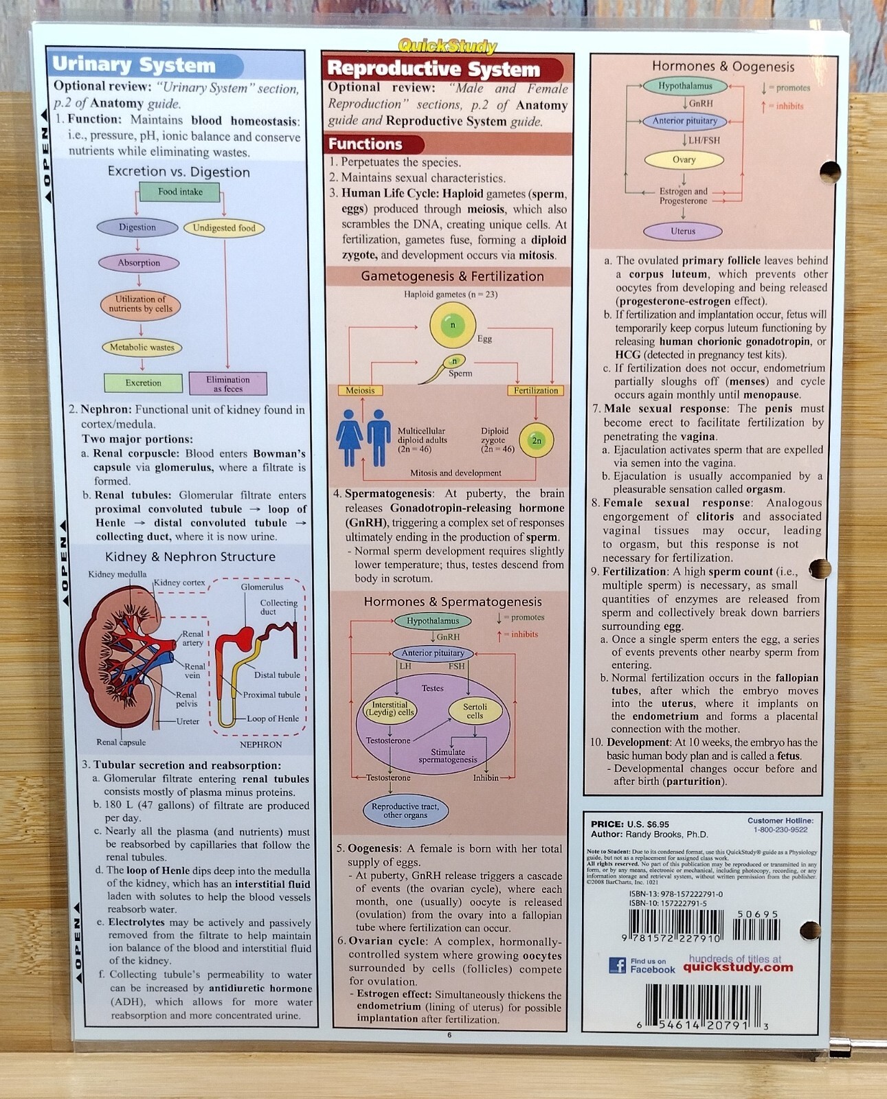 Quick Study Academic – Physiology (2008)
