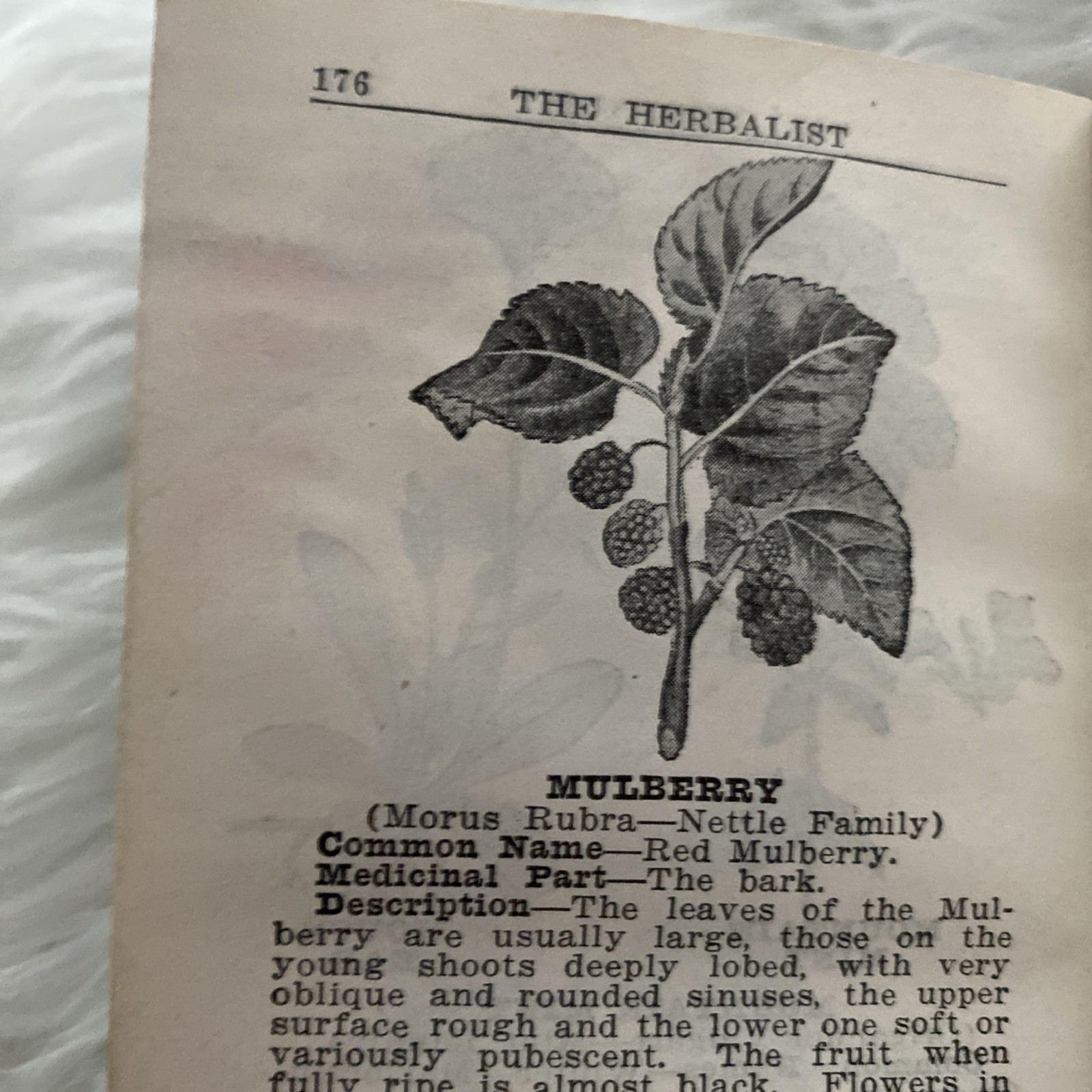 The Herbalist 1934 Joseph E. Meyer Green Hardcover Color Plates Illustrated