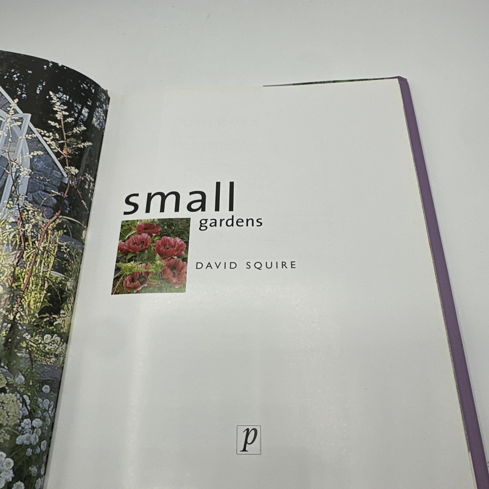 Small Gardens by David Squire (2004, Hardcover Dust Jacket)