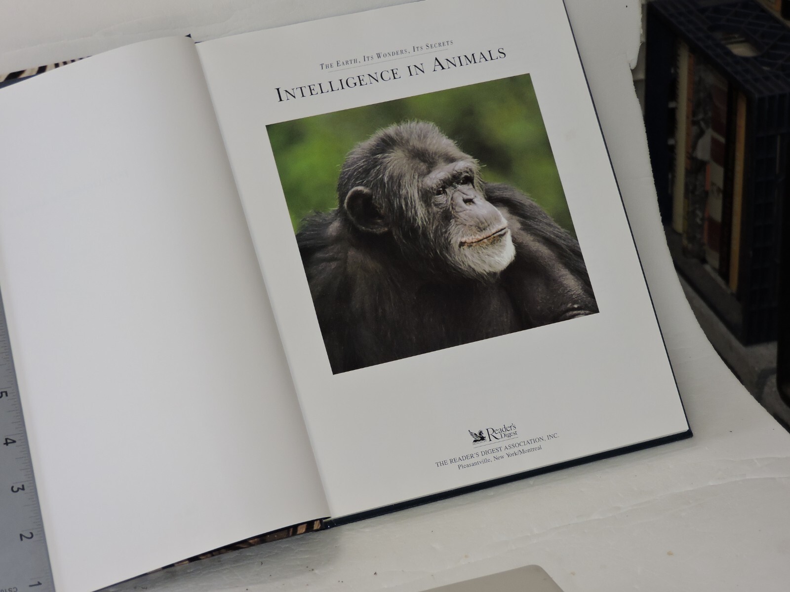 Secret Life of Animals by Reader’s Digest Editors (1998, Hardcover)