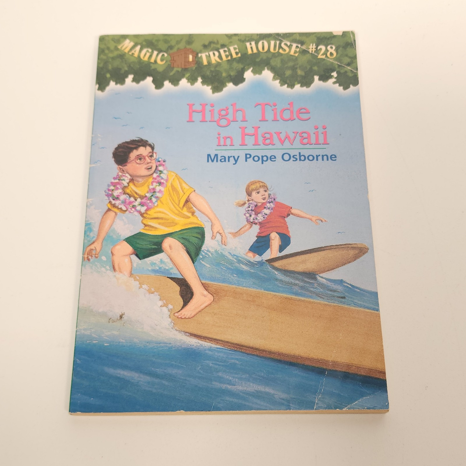 Magic Tree House Lot 10 Books Mary Pope Osborne Merlin Missions Fact Trackers PB