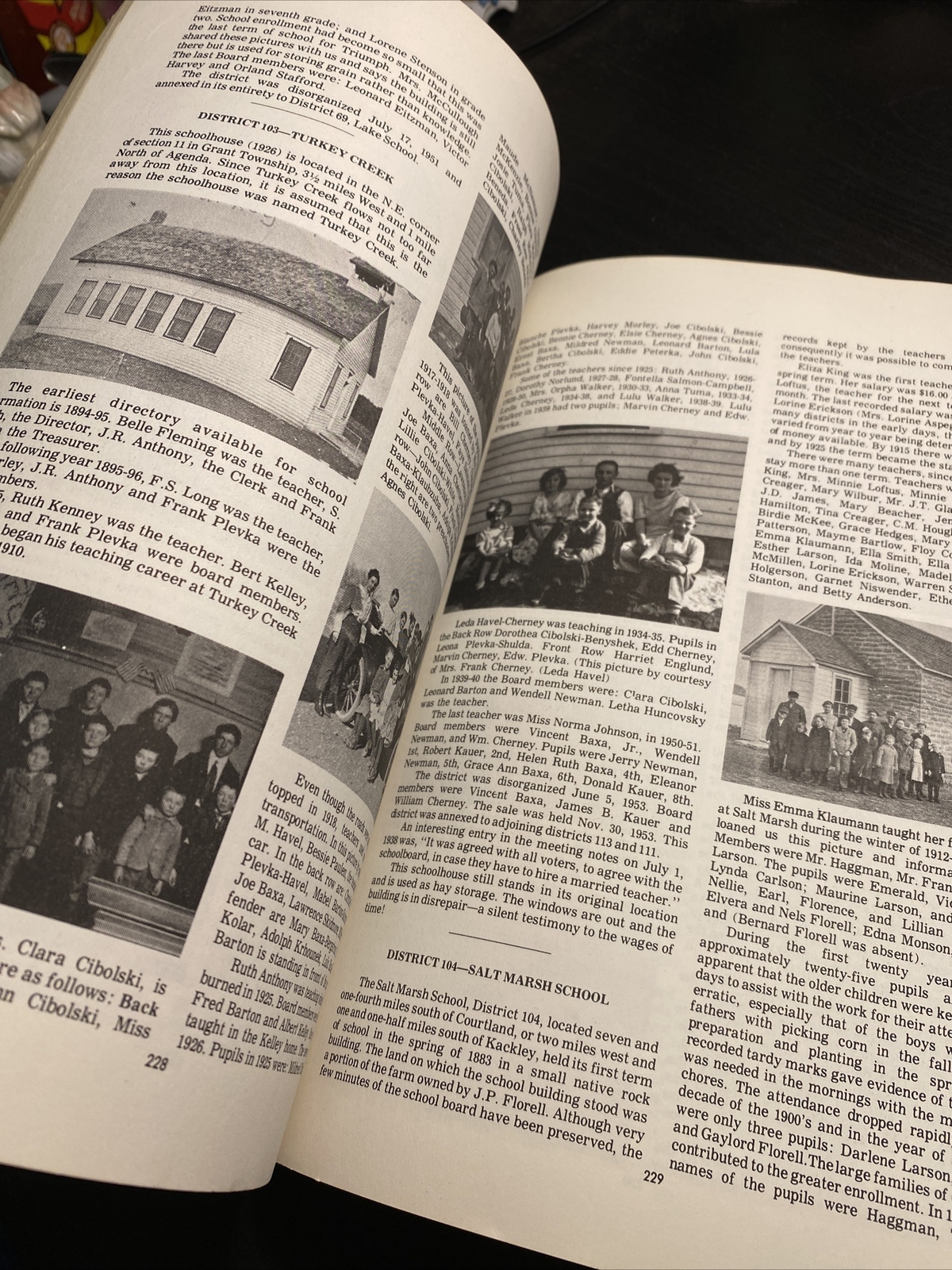 Vintage Book About Schools Homeland Schools 274 Pages ￼about Schools in kansas