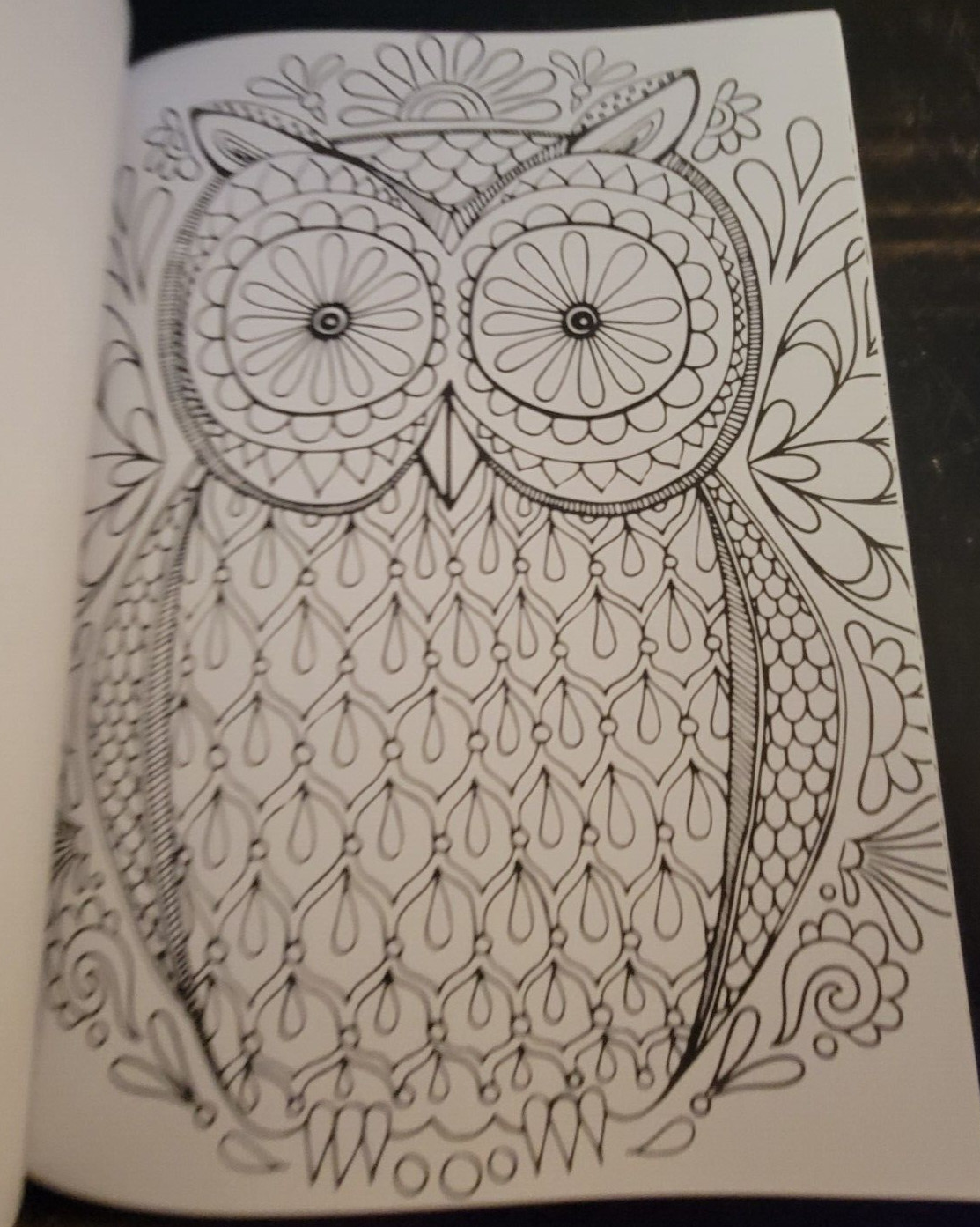 MAJESTIC CREATURES Vol 12 Adult Coloring Book With 47 Prints Ready To Frame
