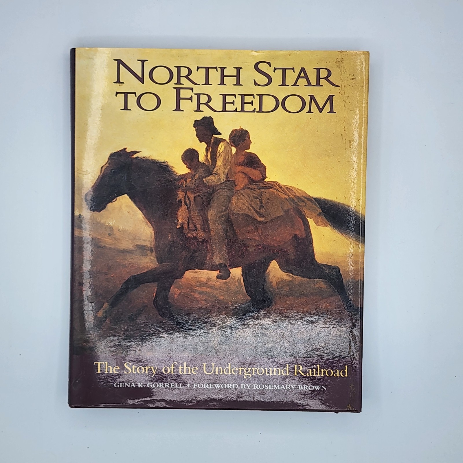 North Star to Freedom The Story of the Underground Railroad 1997 HC DJ VG 1st Ed
