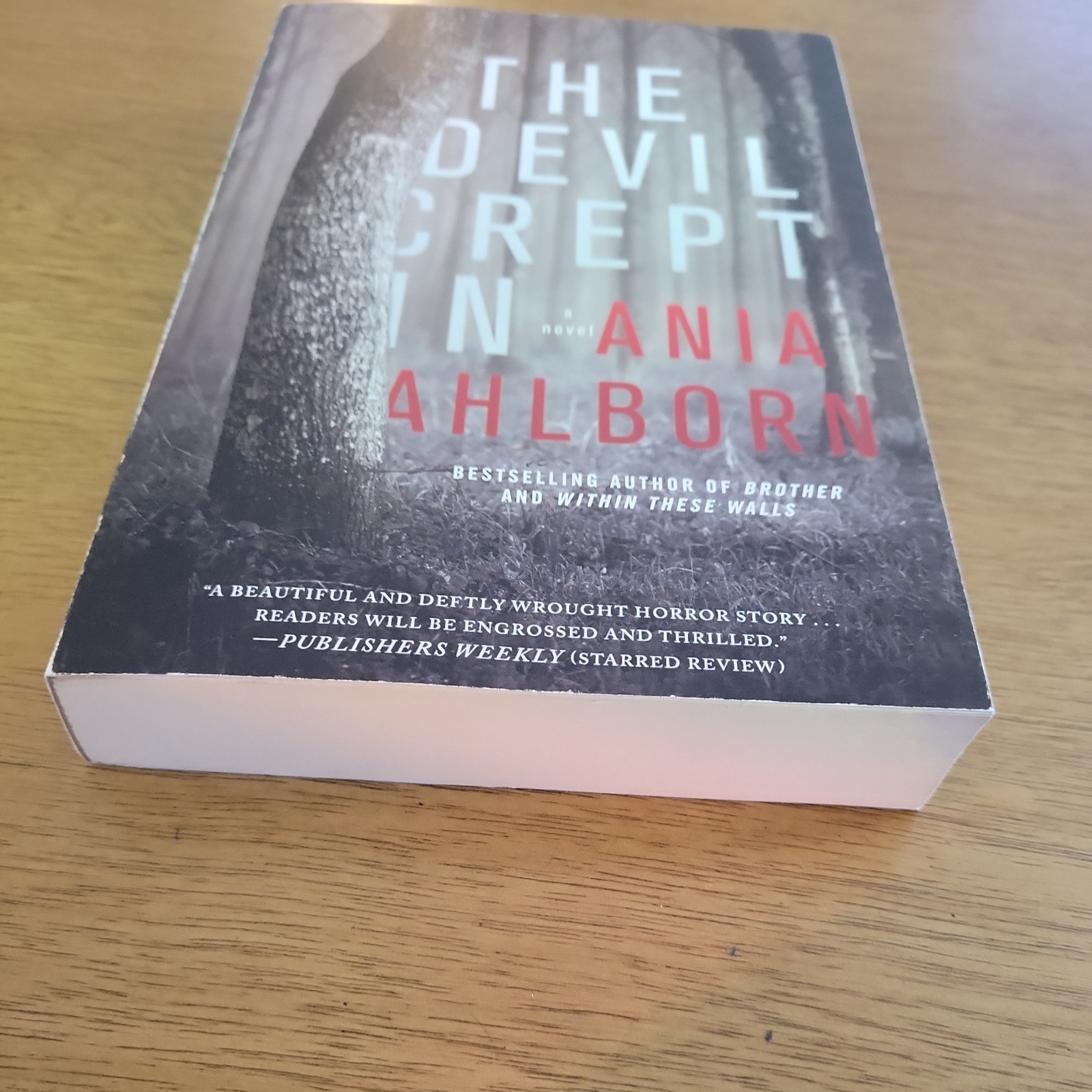 THE DEVIL CREPT IN – ANIA AHLBORN – Gallery Books Trade Paperback 2017