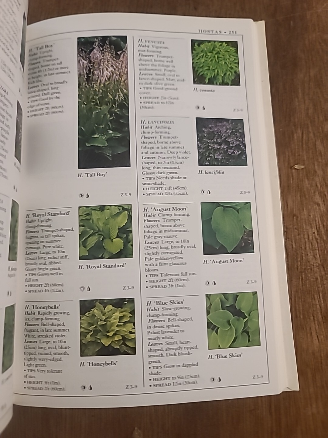 Eyewitness Garden Handbooks Perennials by David Joyce and Deni Bown 1997