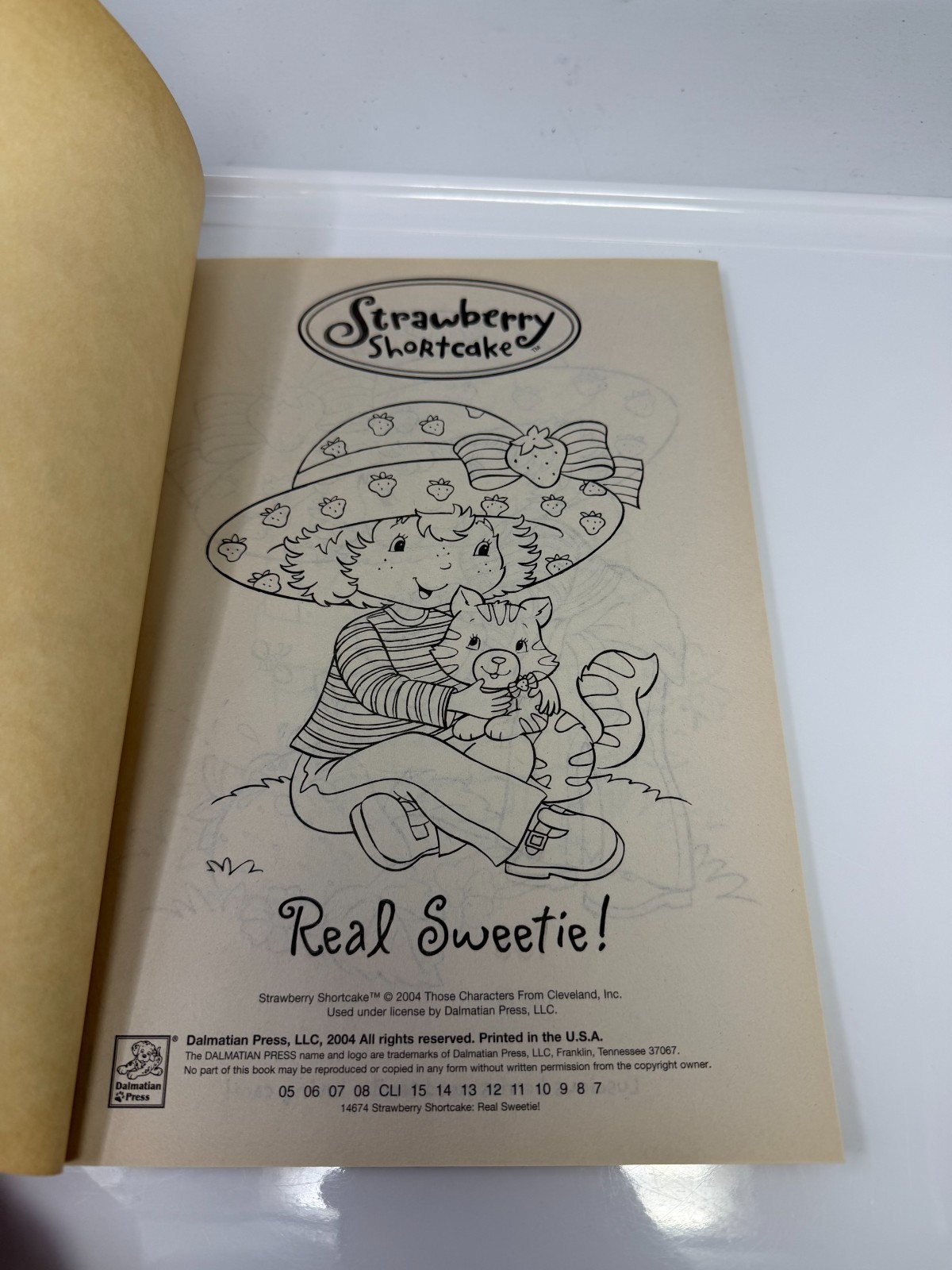 Nice Strawberry Shortcake coloring activity book 2004 .97 cents Dalmatian Press
