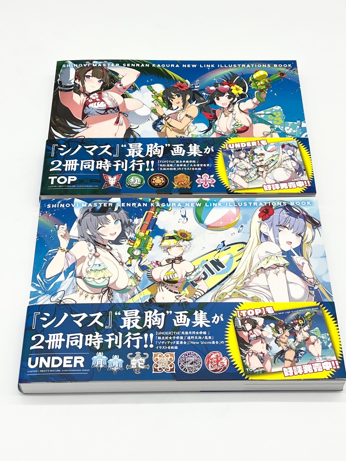 Shinobi Master Senran Kagura New Link Illustrations Book Vol 1-2 Japanese Text