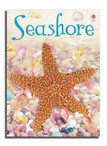 Seashore (Usborne Beginners) – Hardcover By Bowman, Lucy – GOOD