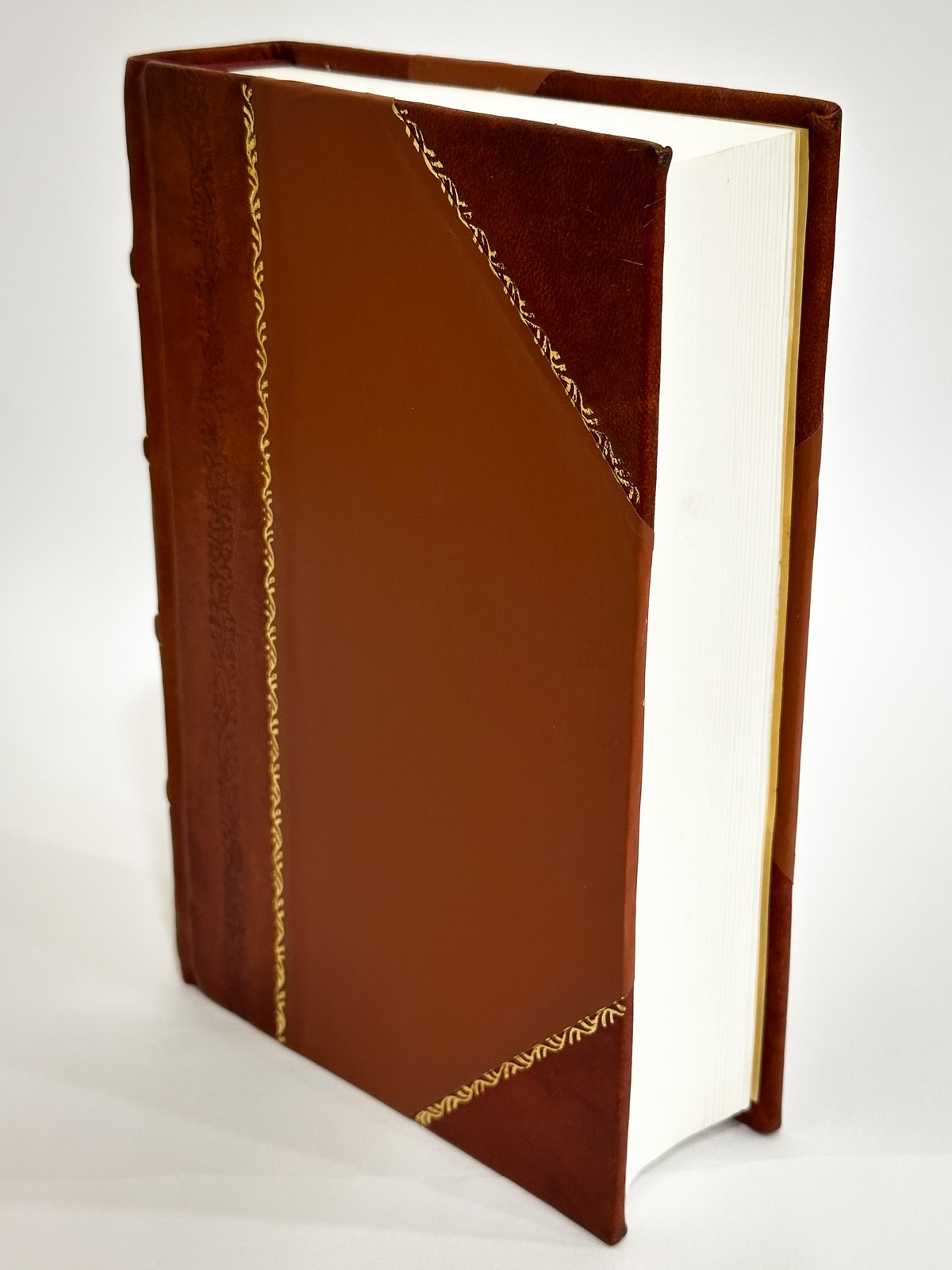 The Genealogy and History of the Shreve Family from 1641; [Leather Bound]
