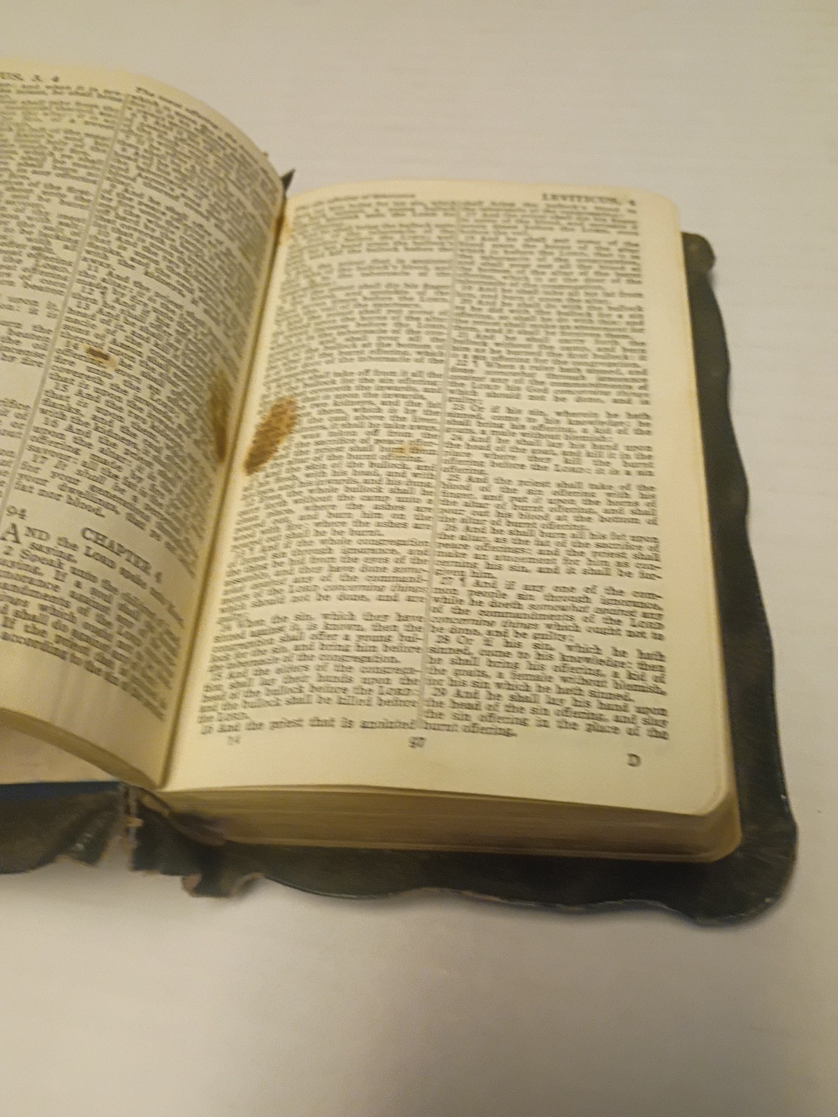 COLLINS Holy Bible- Illustrated -Vintage Black – Pocket Size