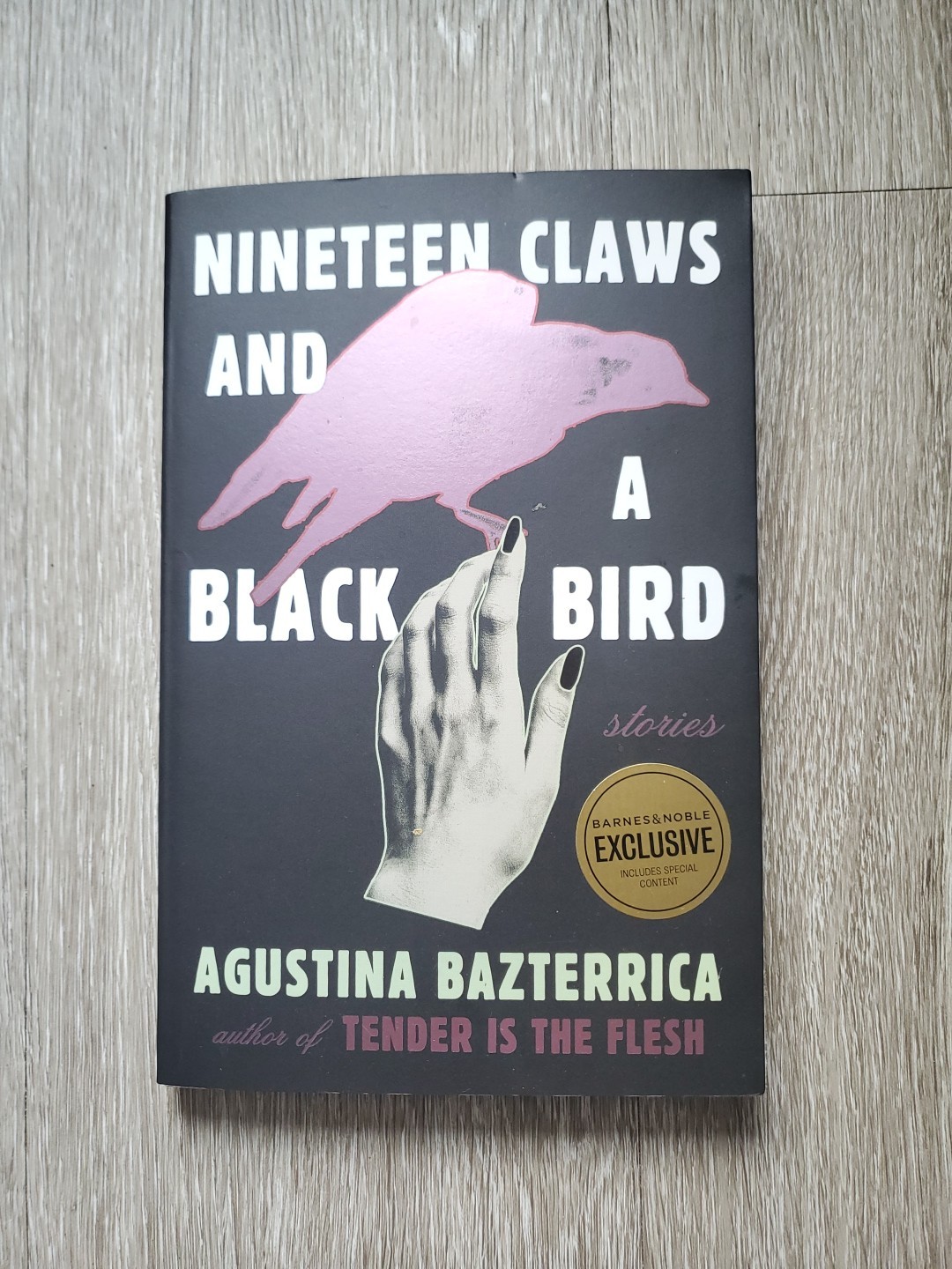 Nineteen Claws And A Blackbird By Augustina Bazterrica (2023) (New Paperback)