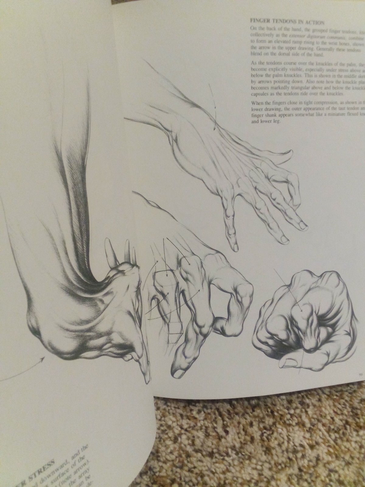Drawing Dynamic Hands by Burne Hogarth (1977, Hardcover) Excellent 1st Printing