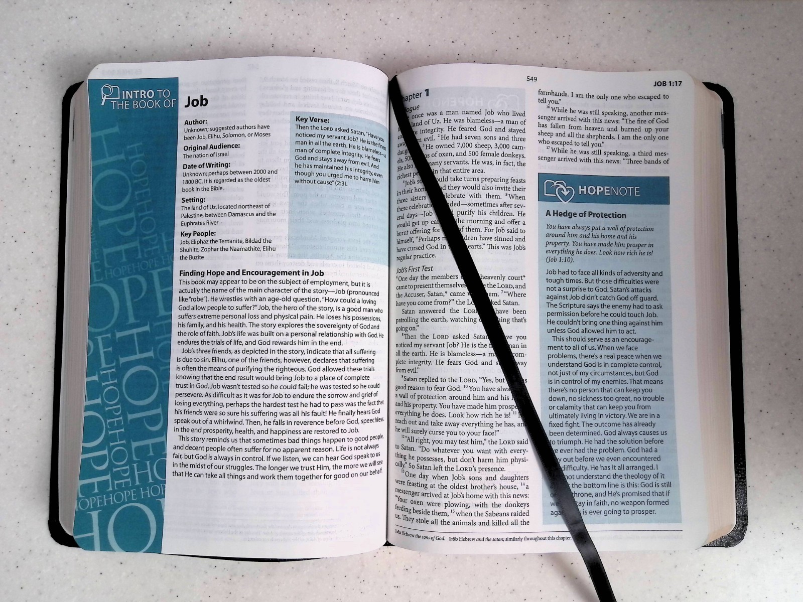Hope for Today Bible – Notes/Encouragement by Joel & Victoria Osteen, Free Press