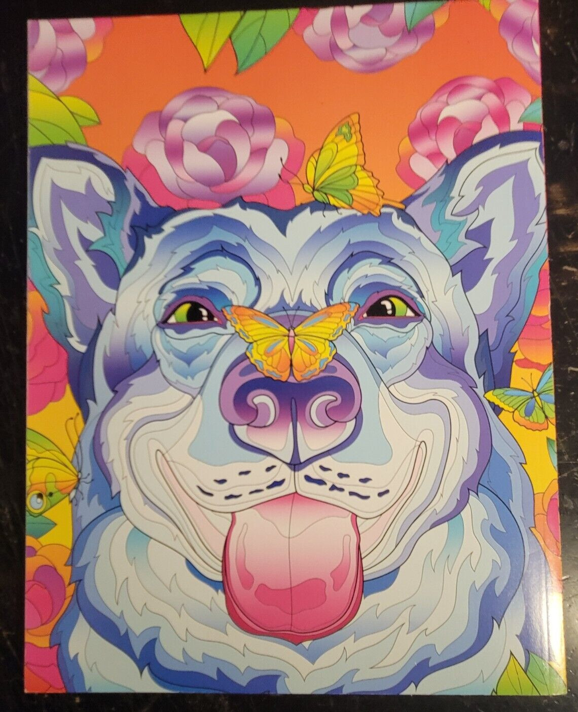 COLOR ME MAGNIFICENT Vol 12 Adult Coloring Book With 47 Prints Ready To Frame
