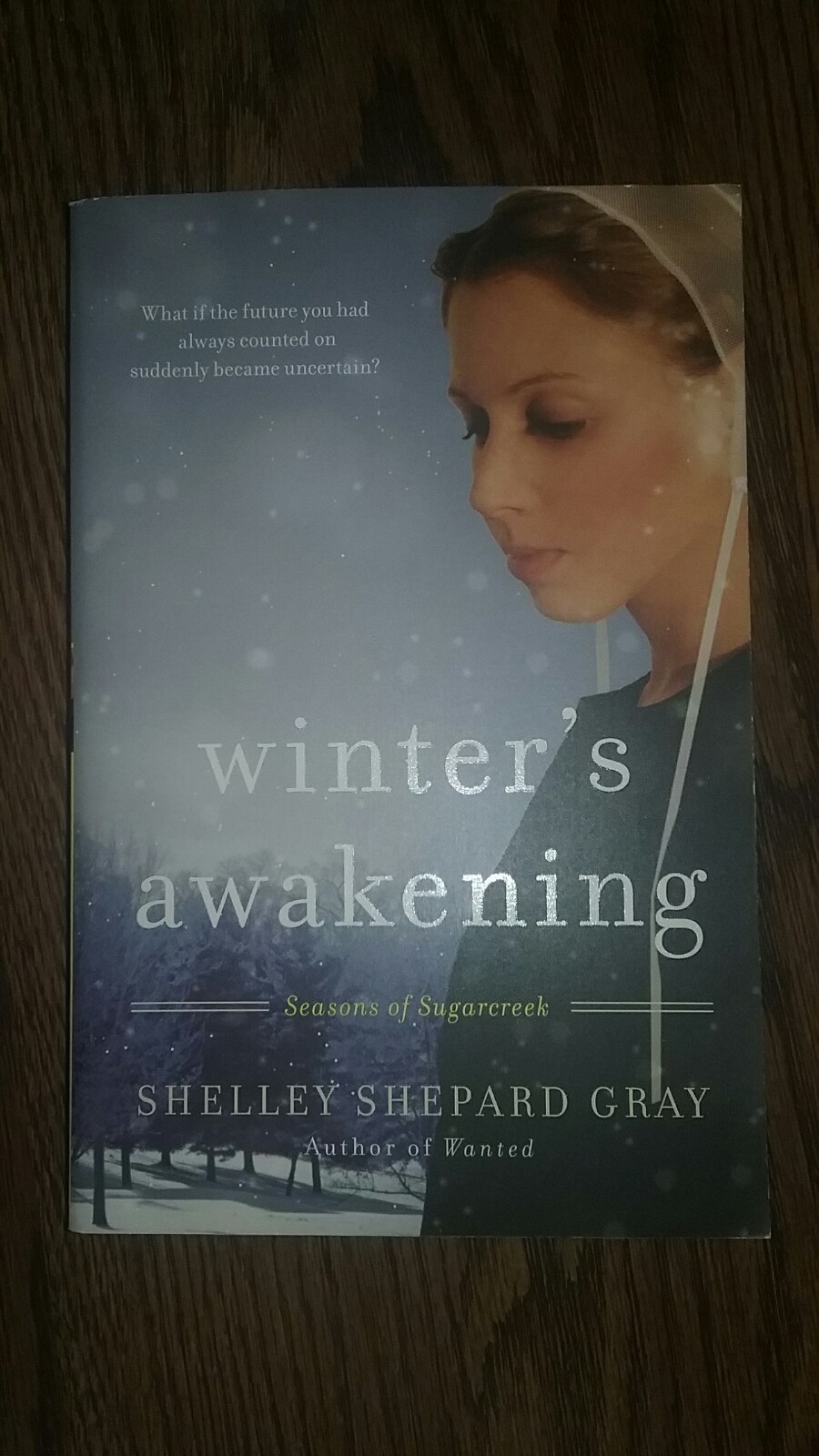 Winters Awakening: Seasons of Sugarcreek, Shelley Shepard Gray