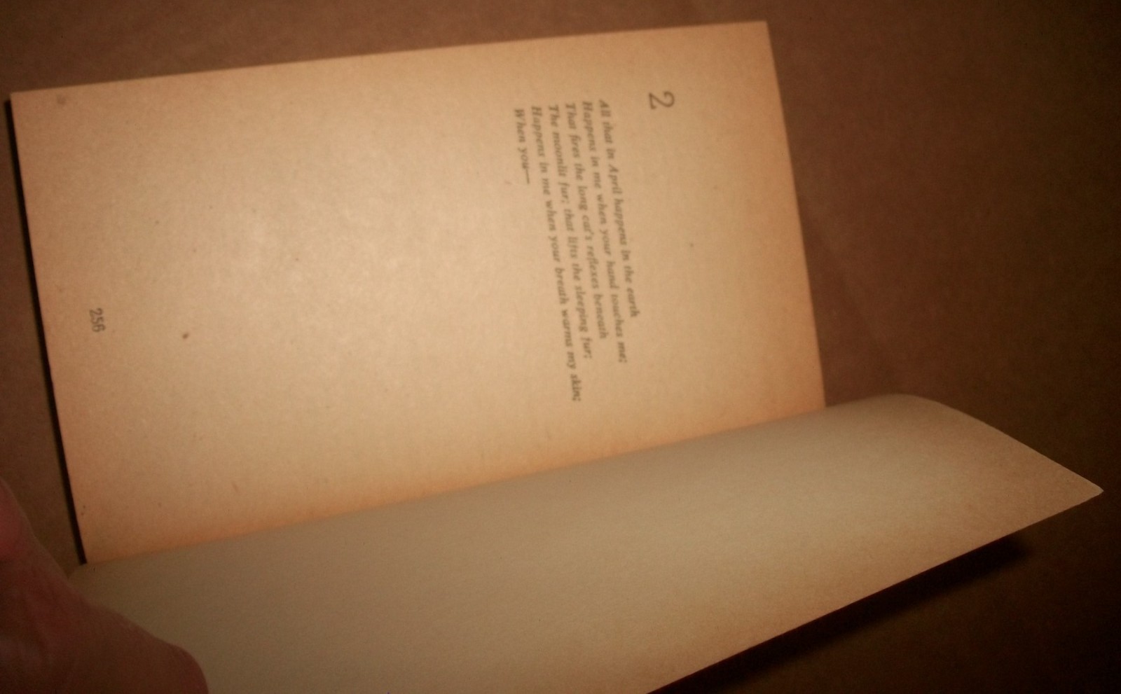Space Relations Donald Barr Gothic Fawcett Crest P2370 $1.25 Feb 1975 1st prt EX