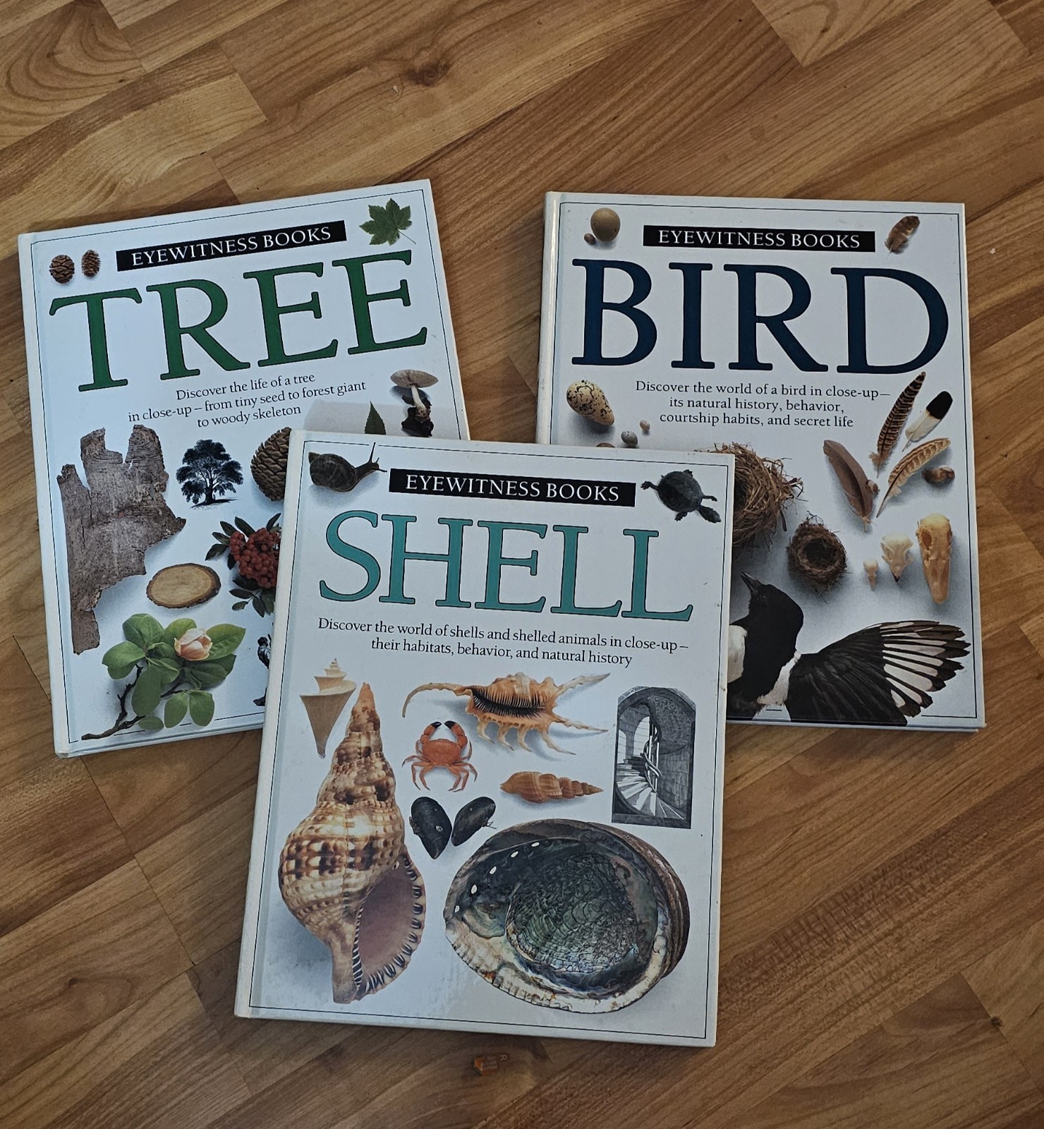 Lot of 3 Eyewitness Science Educational Books DK Books Shell,Tree, Bird