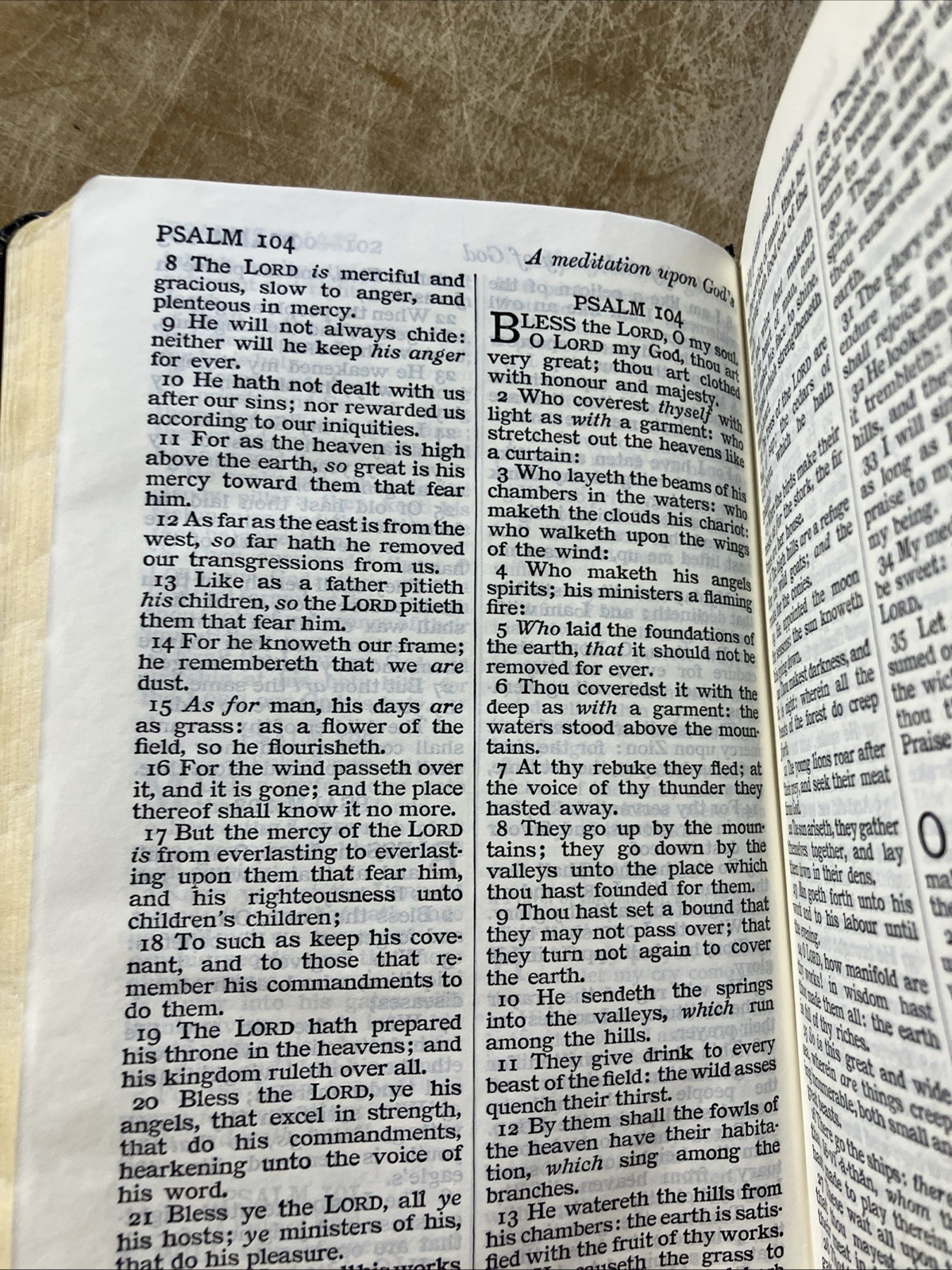 Cambridge Cameo New Testament Psalms Bible KJV Genuine Berkshire Leather 4 TXRL