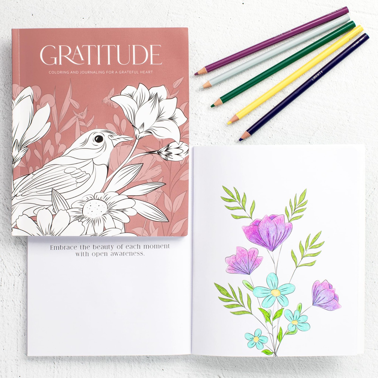 Set 2 for Mindfulness Beautiful Adult Coloring Book Gratitude and Stress Relief