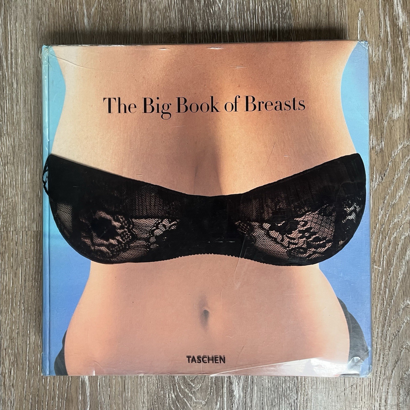Big Book of Breasts by Dian Hanson (2006, Hardcover)