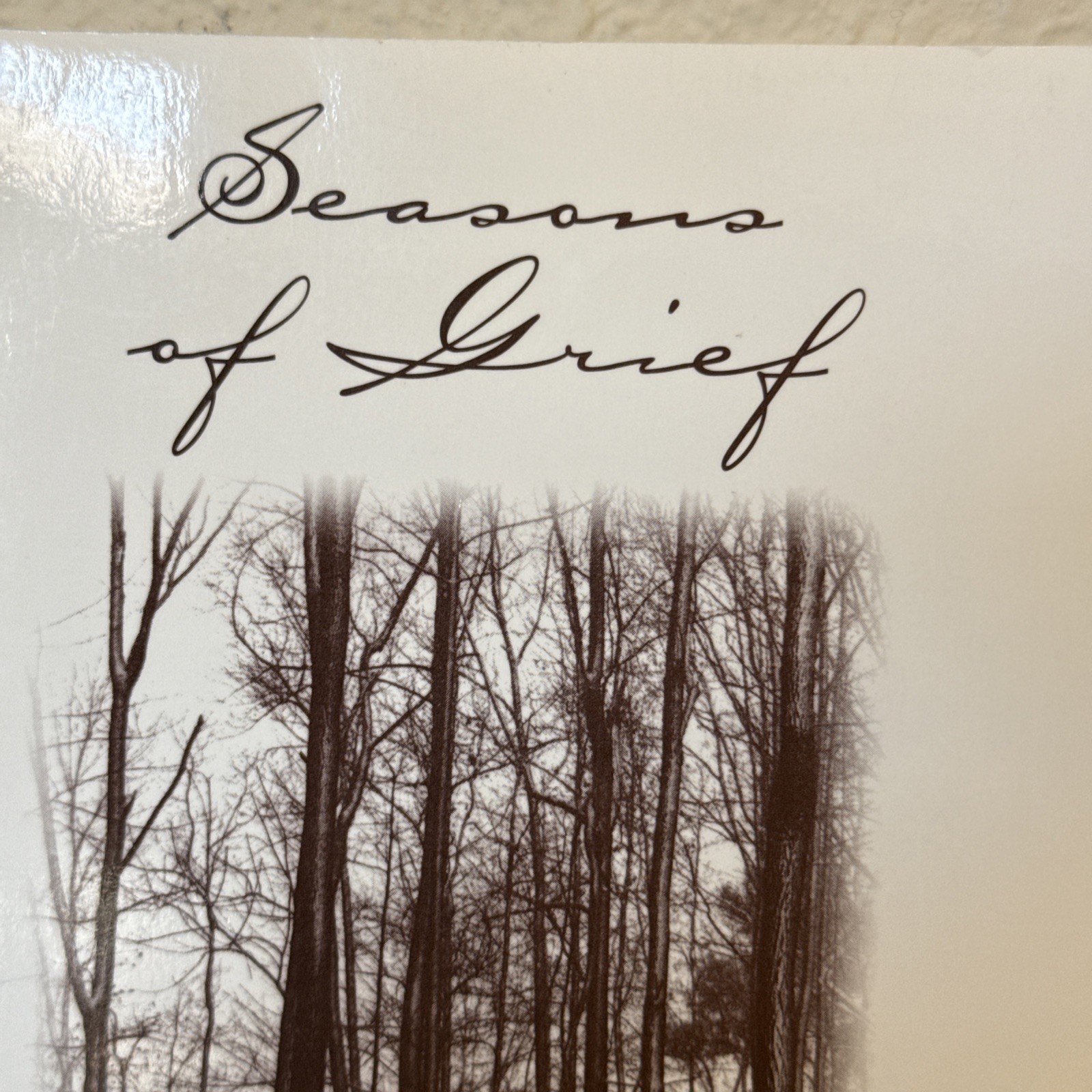 Seasons of Grief Rita D. Carrier 1999 Rare Self-Published Paperback 135 Pages
