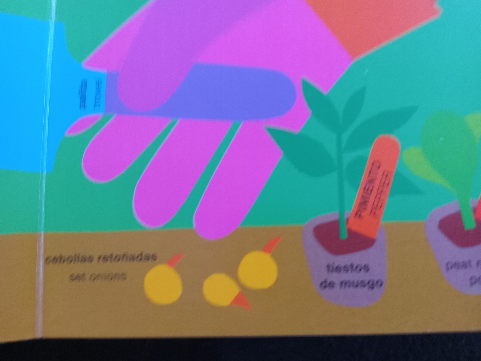 Spanish English Dual Language Board Book By Lois Ehlert Growing Vegetable Soup